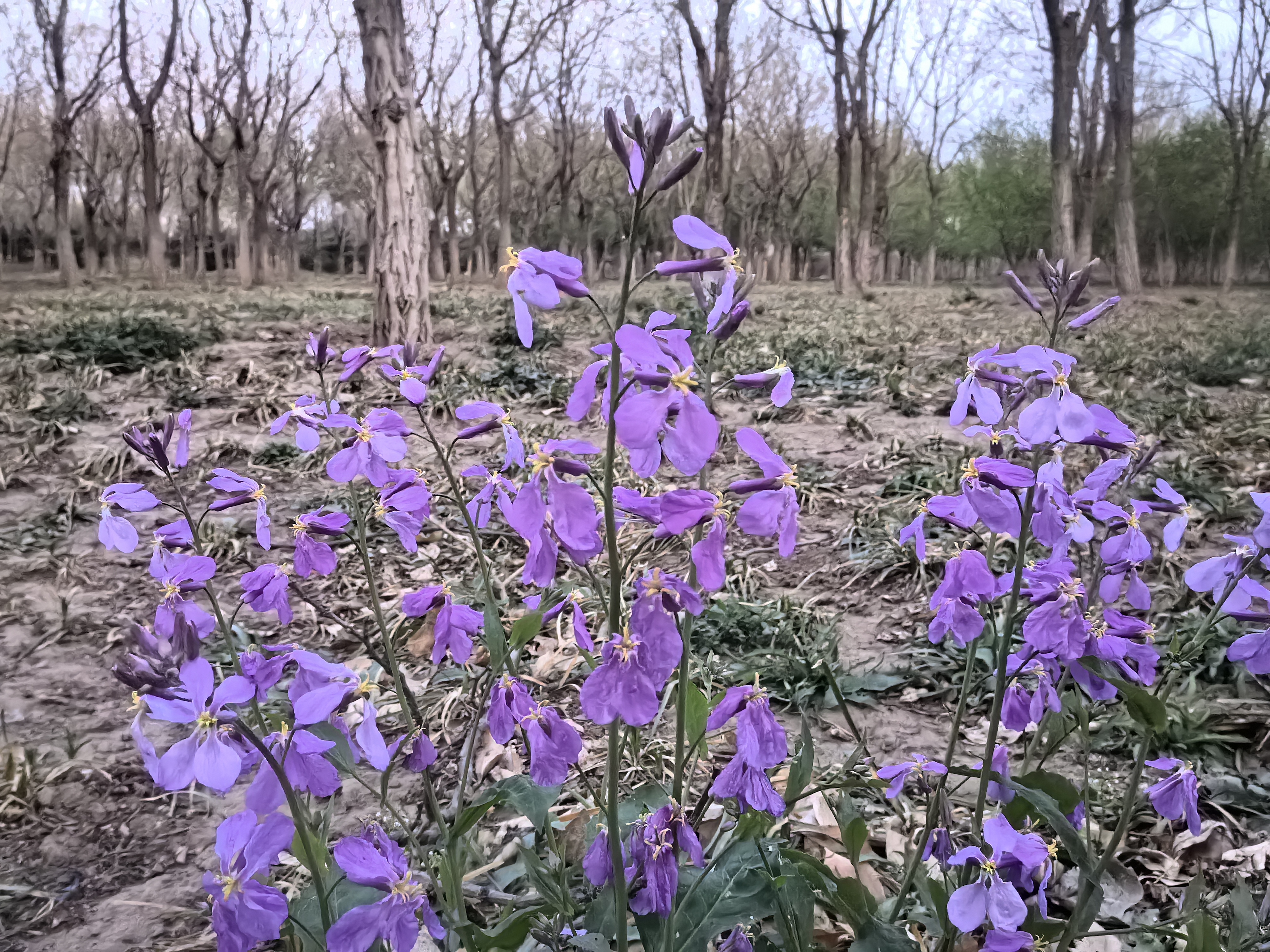 谷歌支付可以用银联吗_谷歌商店银联卡_谷歌商店支付能用银联