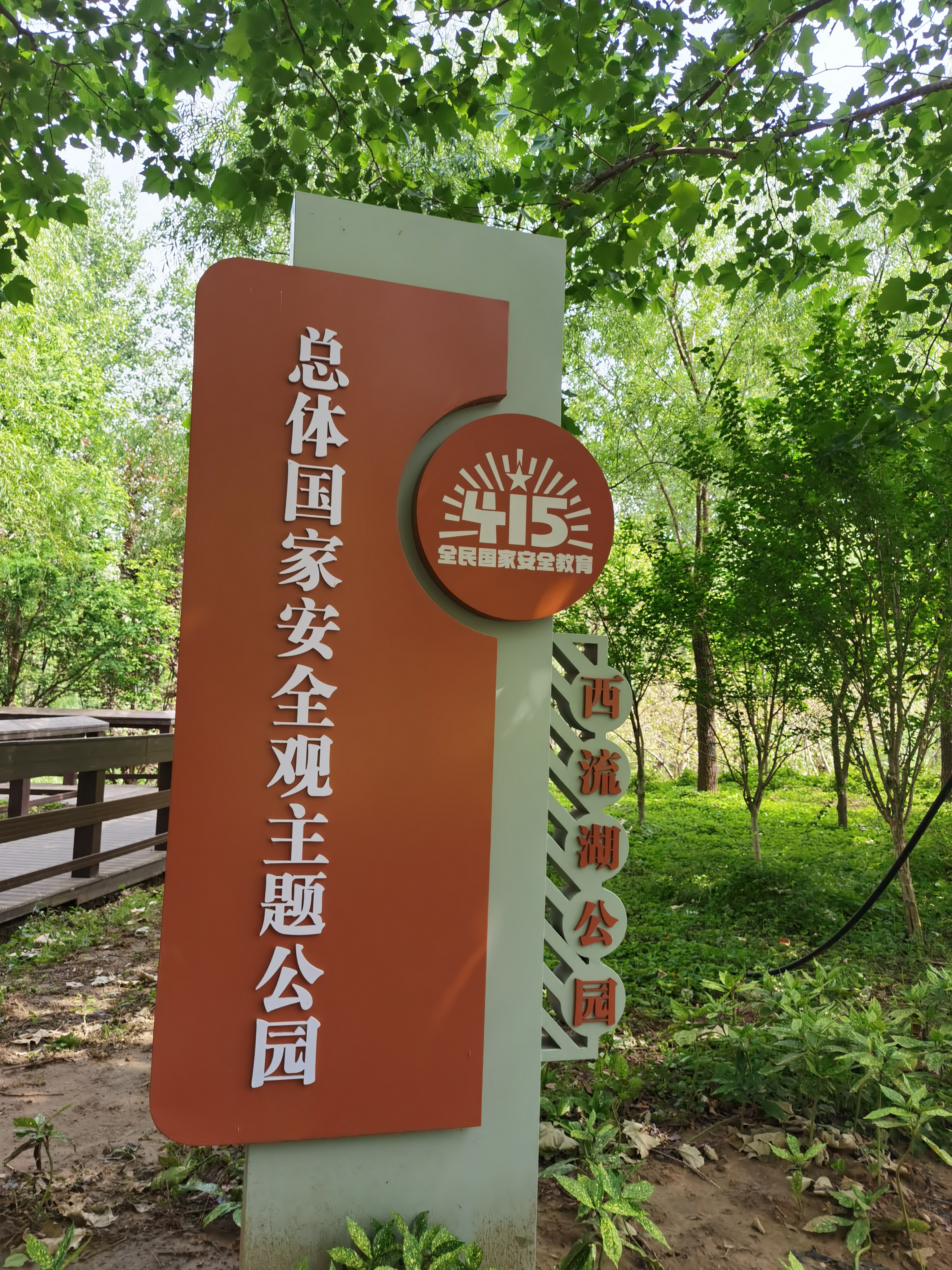 亲自体验公园20分钟:明媚的阳光,婀娜的碗莲,青青绿草,华盖杨柳,充满