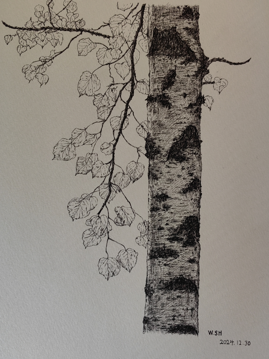 手绘《白桦树》作画步骤