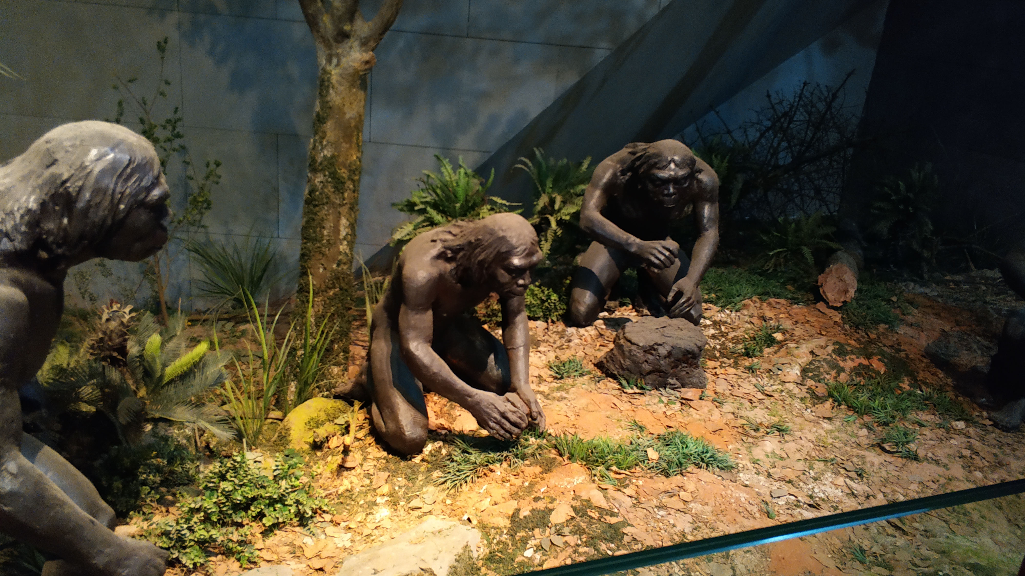 今天,我们要走进那段神秘的远古历史,探索北京人这一