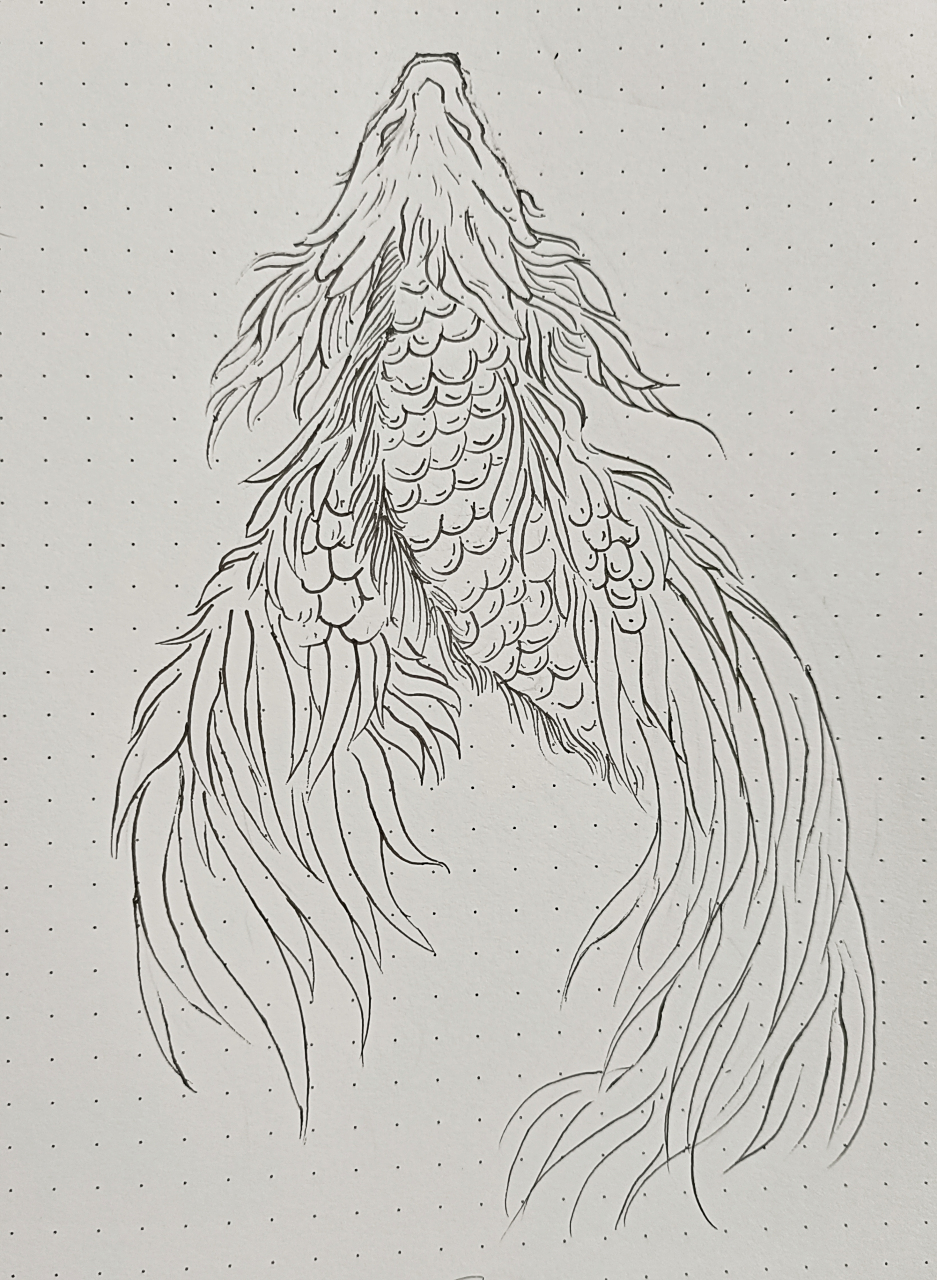 山海经异兽"文鳐鱼"线稿临摹.