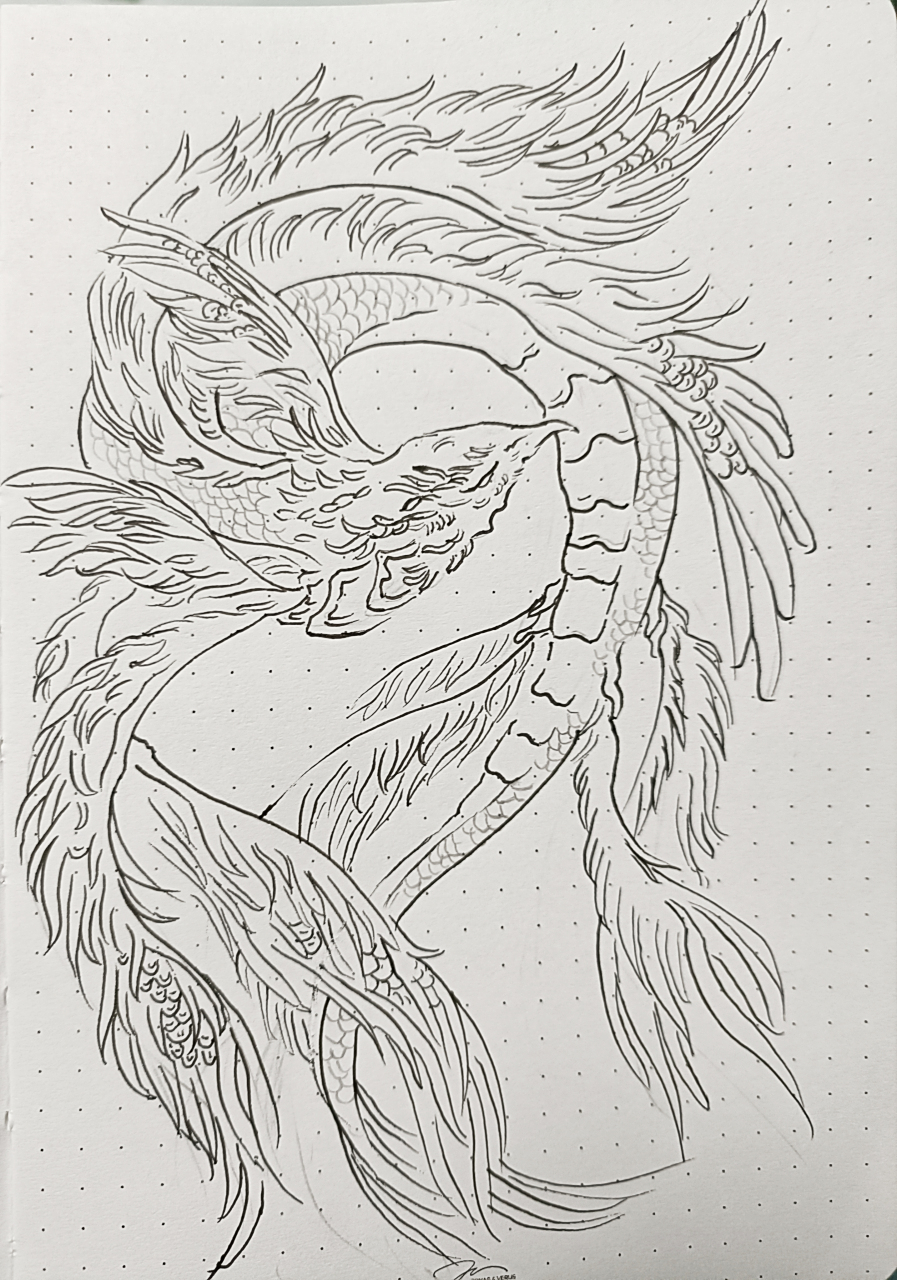 山海经异兽"鳛鳛鱼"线稿临摹.