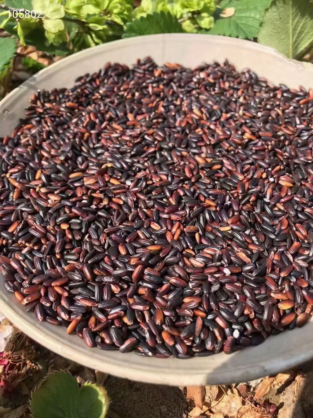 进补最佳季节,客家黑糯米酒,可直接饮或煮鸡蛋,滋阴补肾,美容养颜