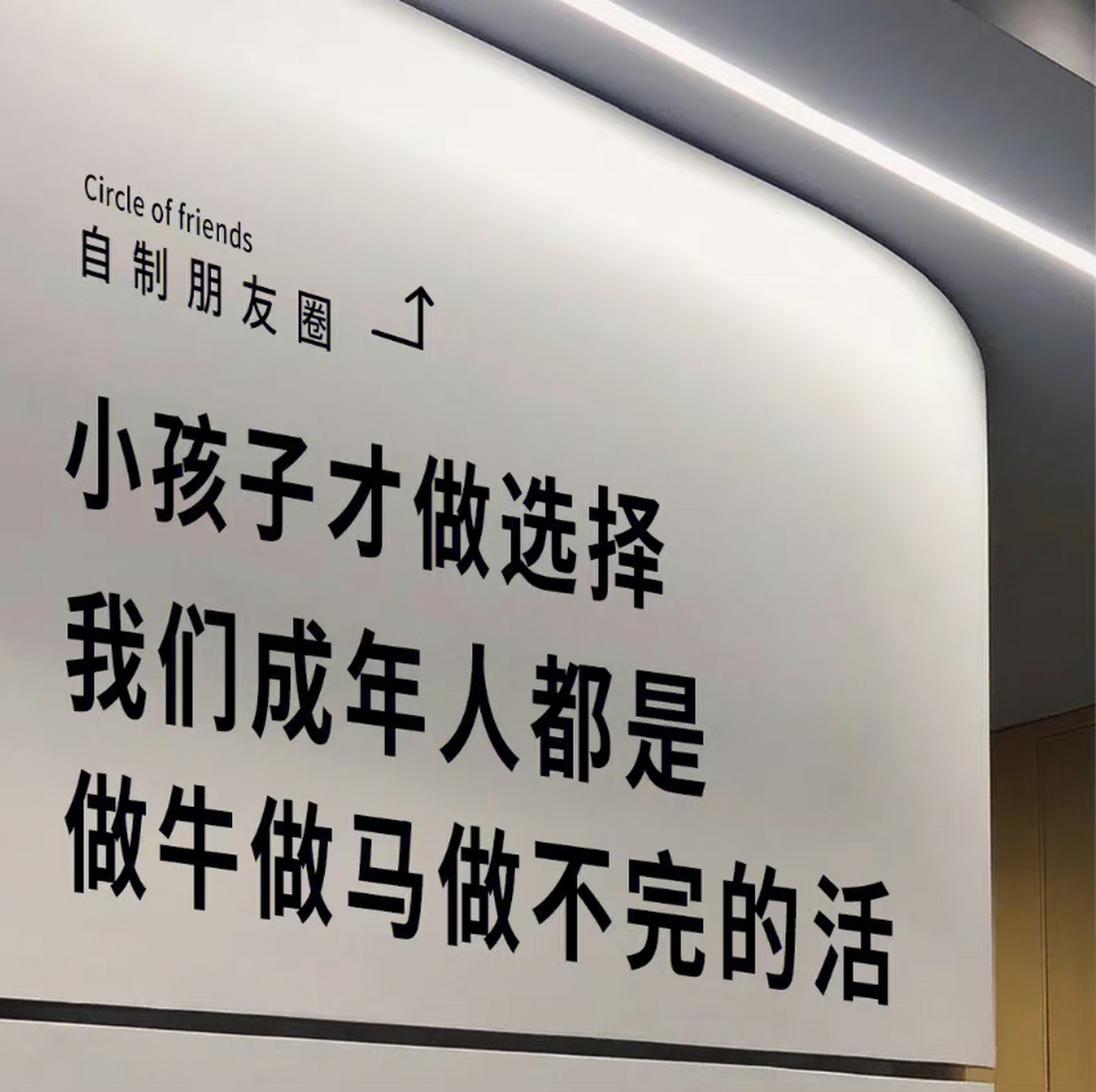小孩子才做选择,成年人都是做牛做马做不完的活.