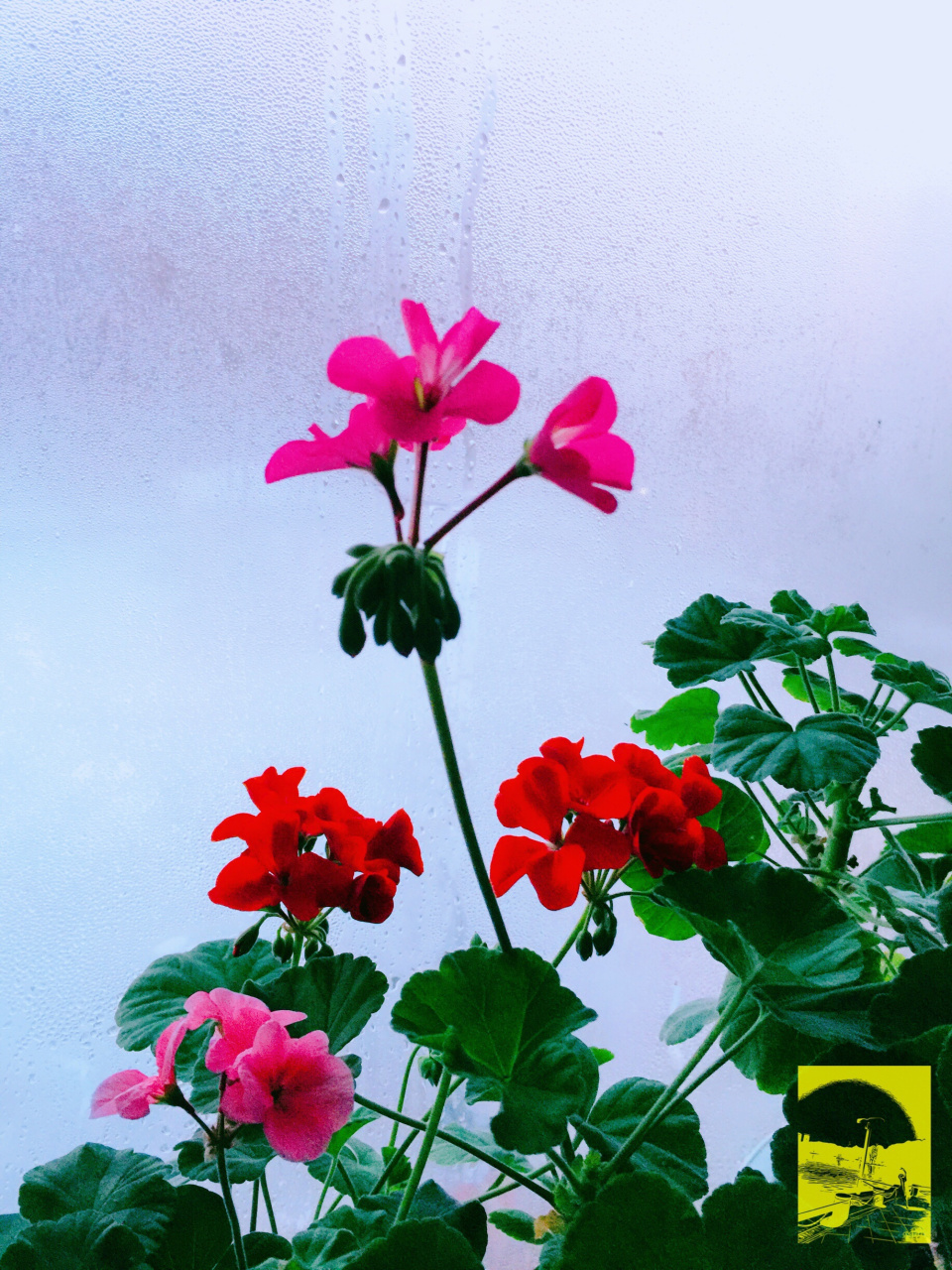 叔于田   大叔于田