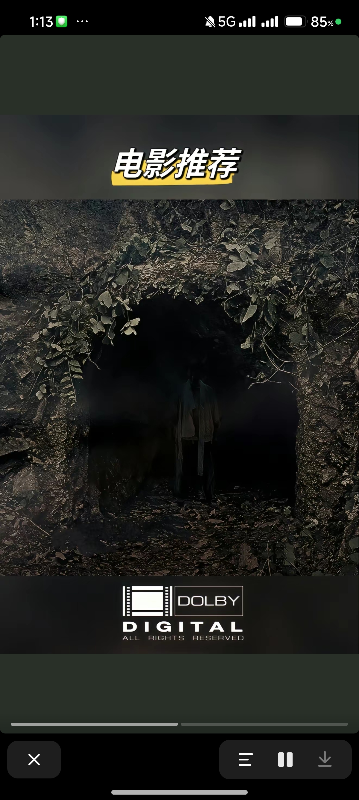 看了《苌山虎》,吓得我手心冒汗,但电影的情节真的扣人心弦.