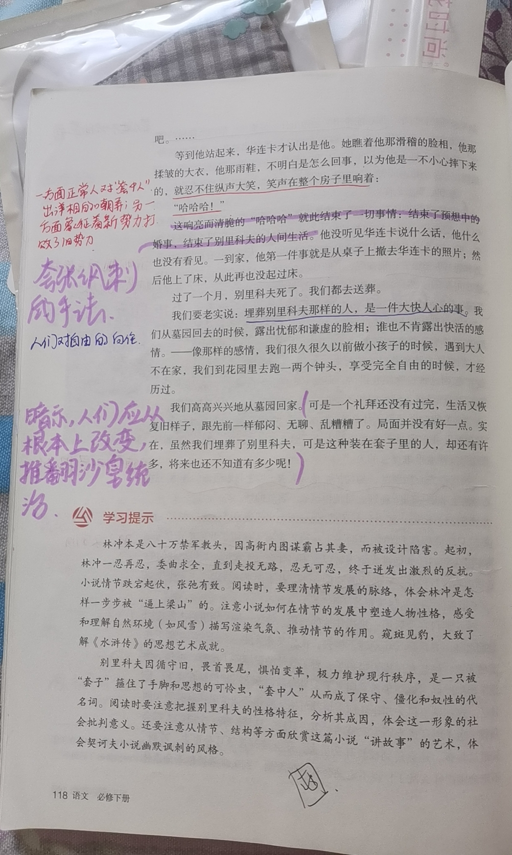 装在套子里的人批注式