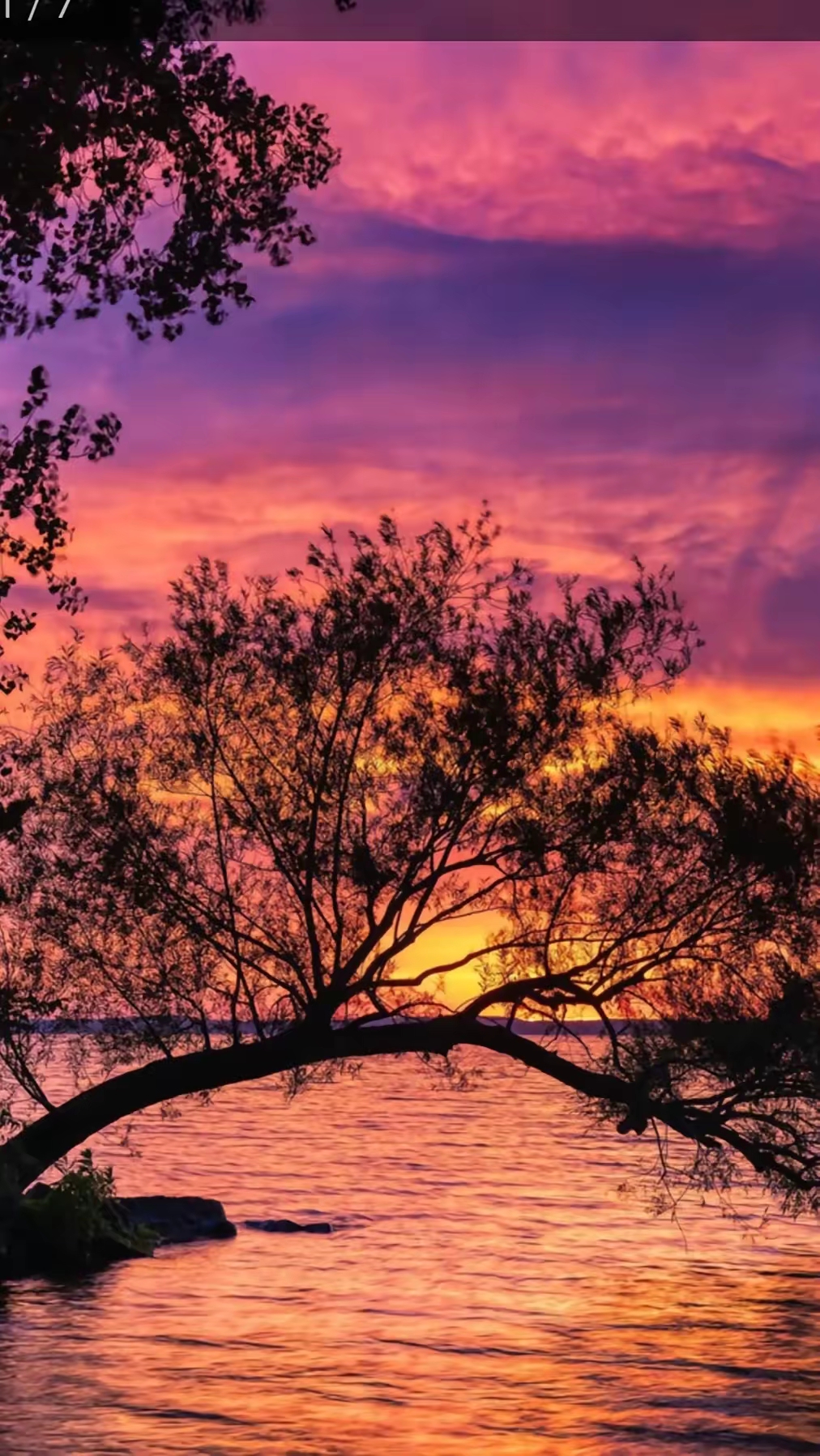 三年前,我妈妈走了,舅舅来参加妈妈的葬礼,哭得悲痛欲绝