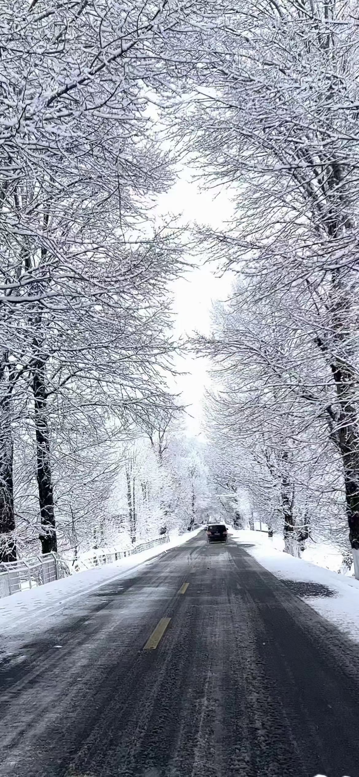 大雪纷飞图片真实艳阳图片