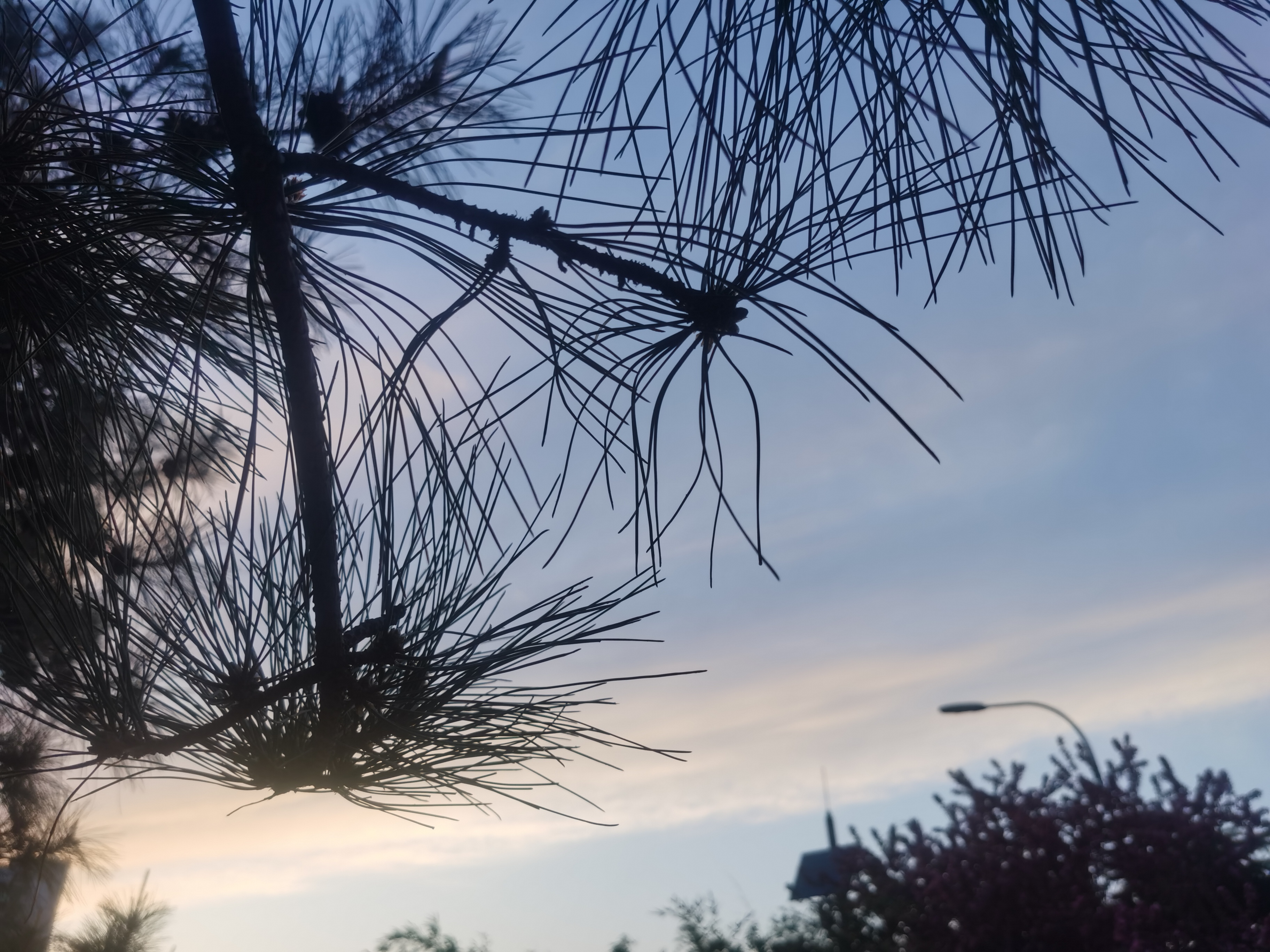 而这份坚定与强大,源自于对自己的喜欢与信任——自