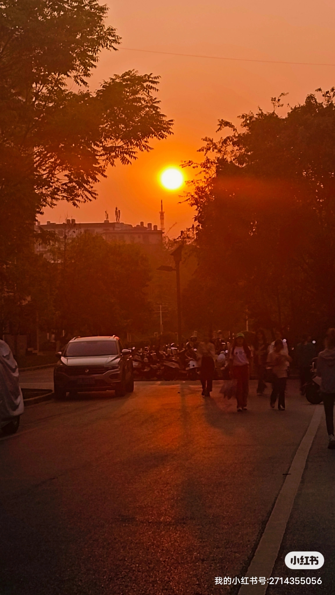 但由于各种原因,这些感情常常因为没有被表达暗恋遗憾风景图片伤感