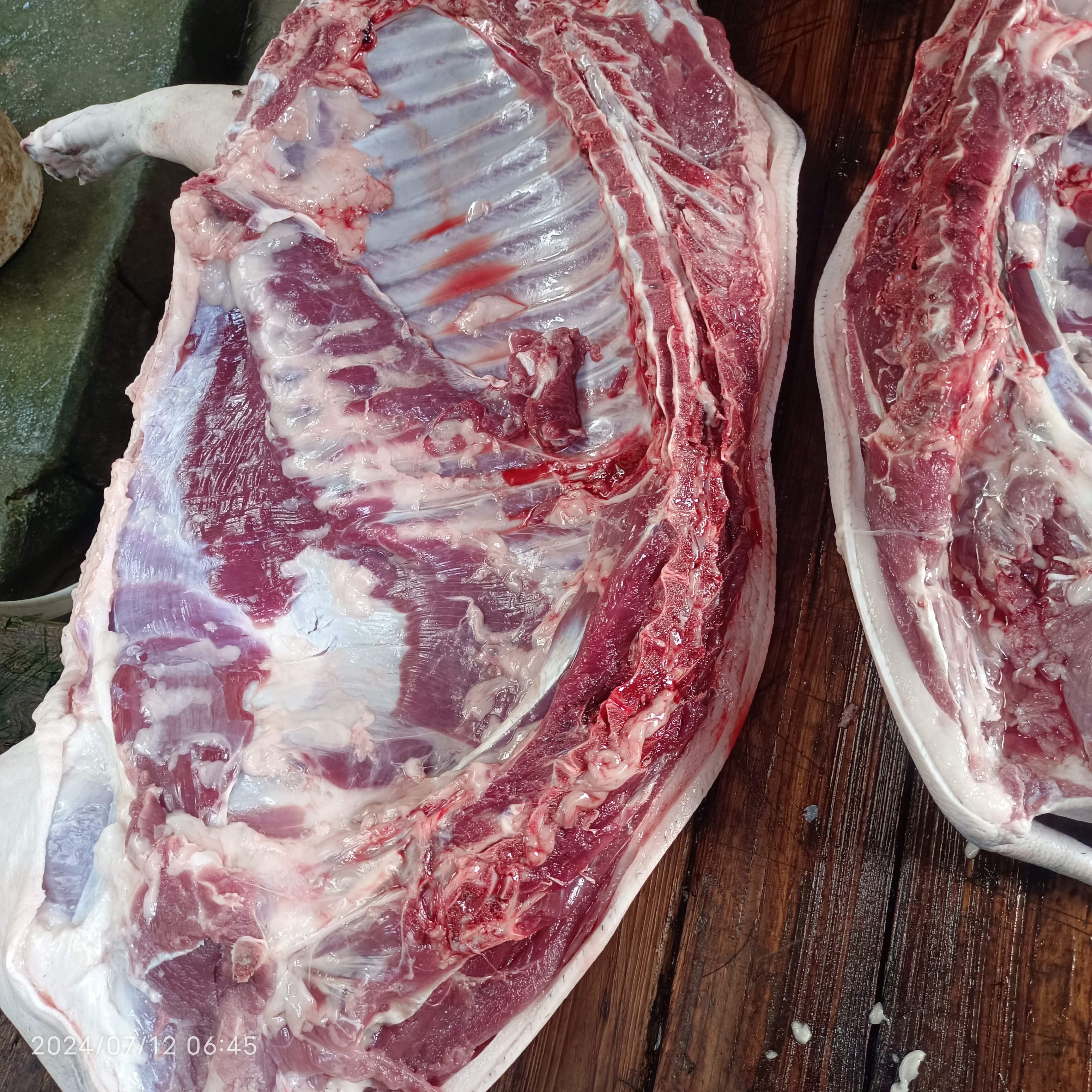 深山养殖纯种两年藏香猪,欢迎品尝