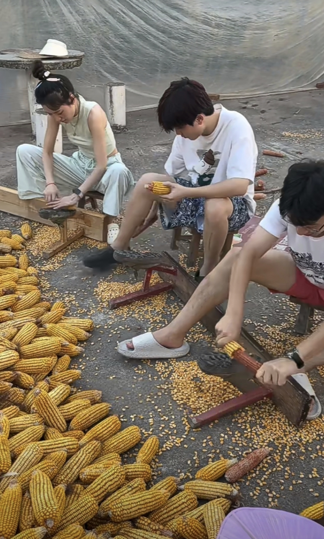 放暑假 被老爸带回老家 鞋底搓玉米,老爸一说这些玉米搓完有奖励, 都