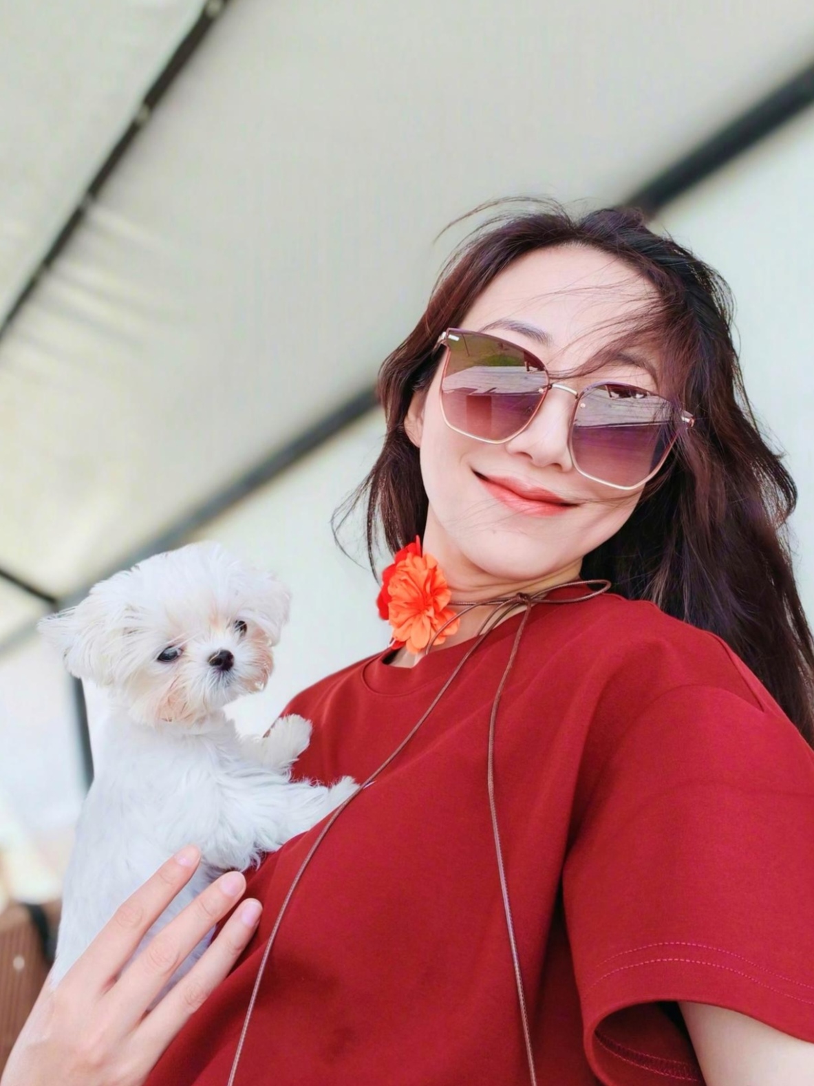 韩雪闲暇之余出去遛狗,这小狗狗带出去遛太方便了,就巴掌那么大,想往