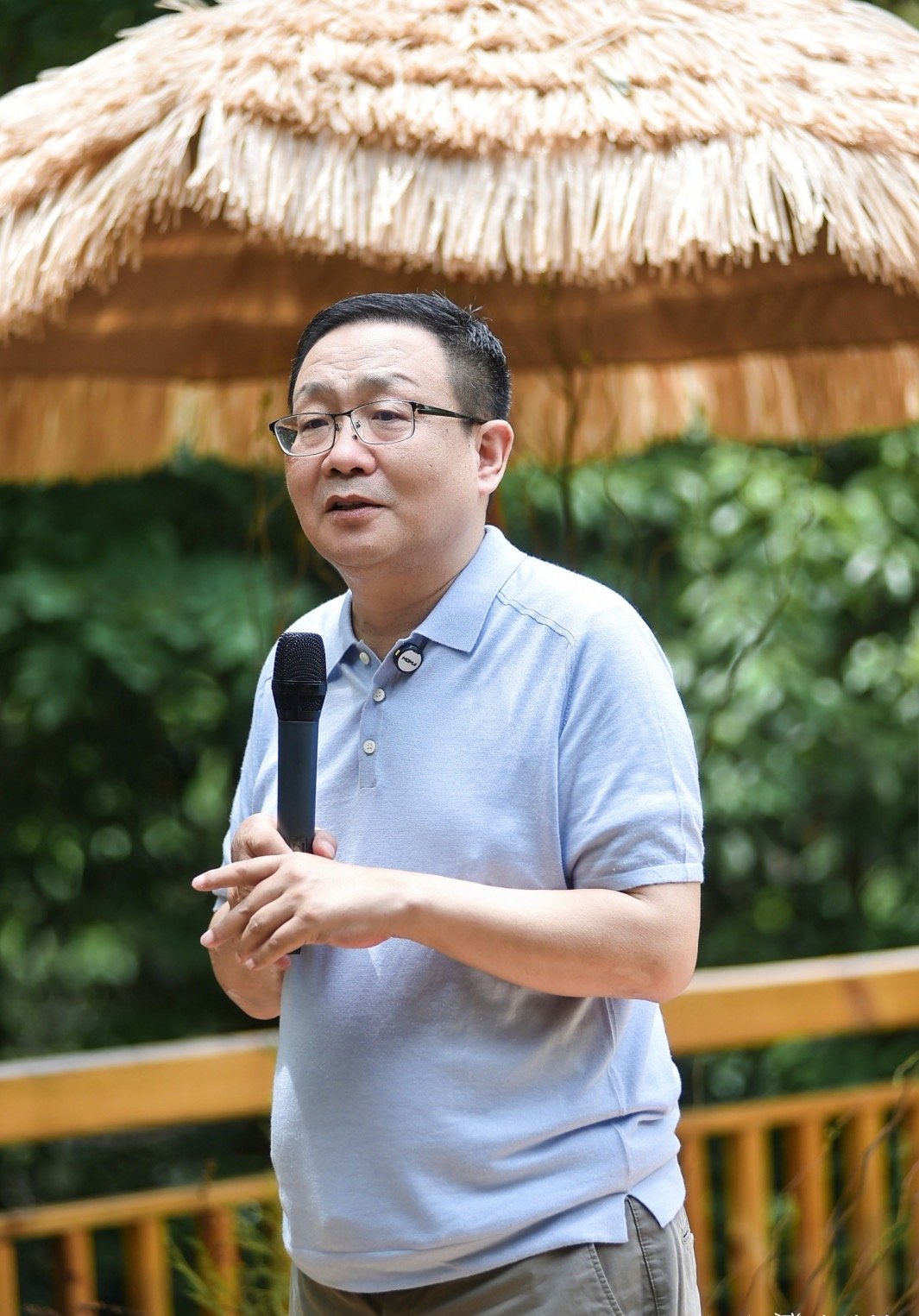 长在山间石头缝里,根裸着,风吹雨打,像个隐居的