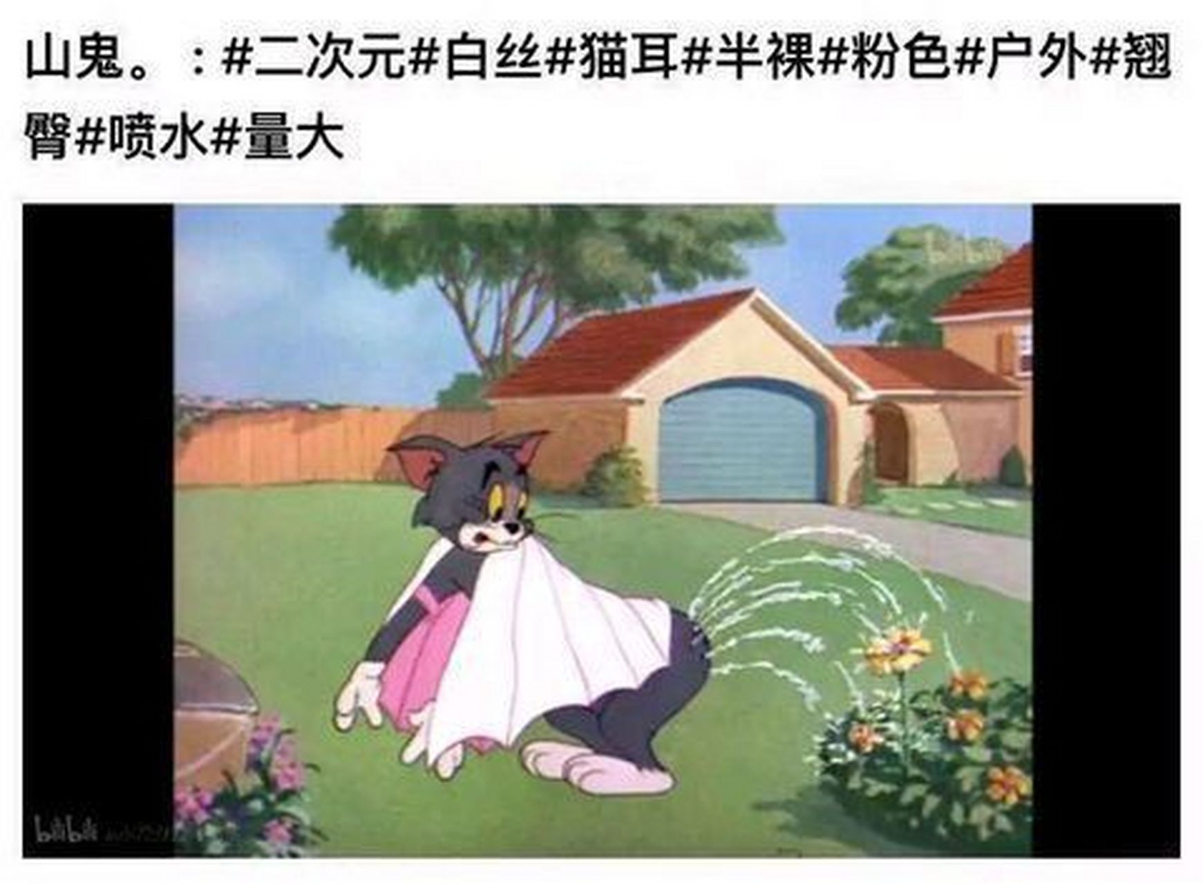 车车好快的车车[滑稽]