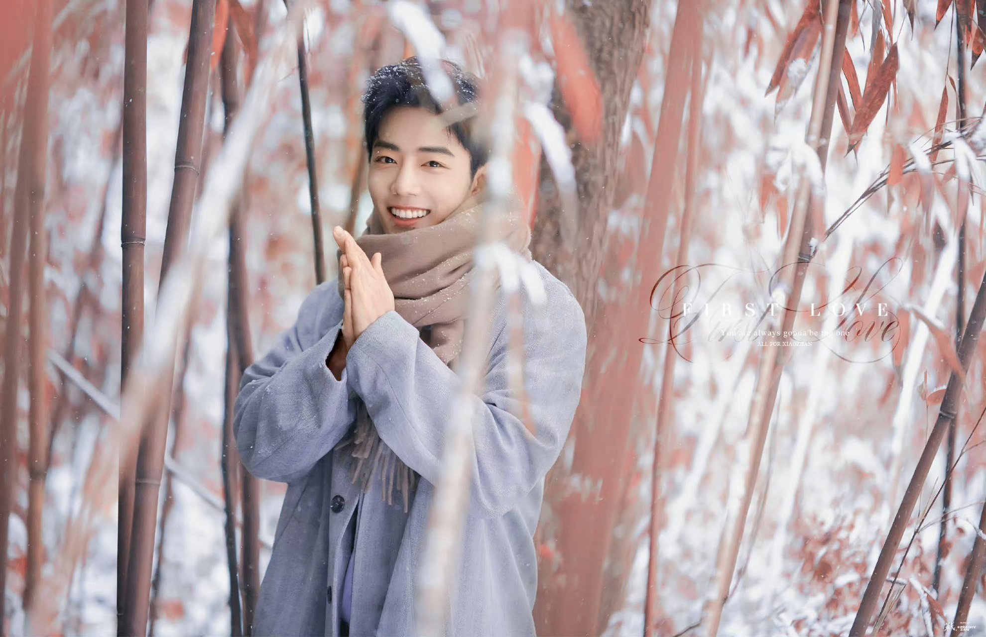 电脑壁纸更新 这个色系真是好看啊  #肖战#  cr:logo