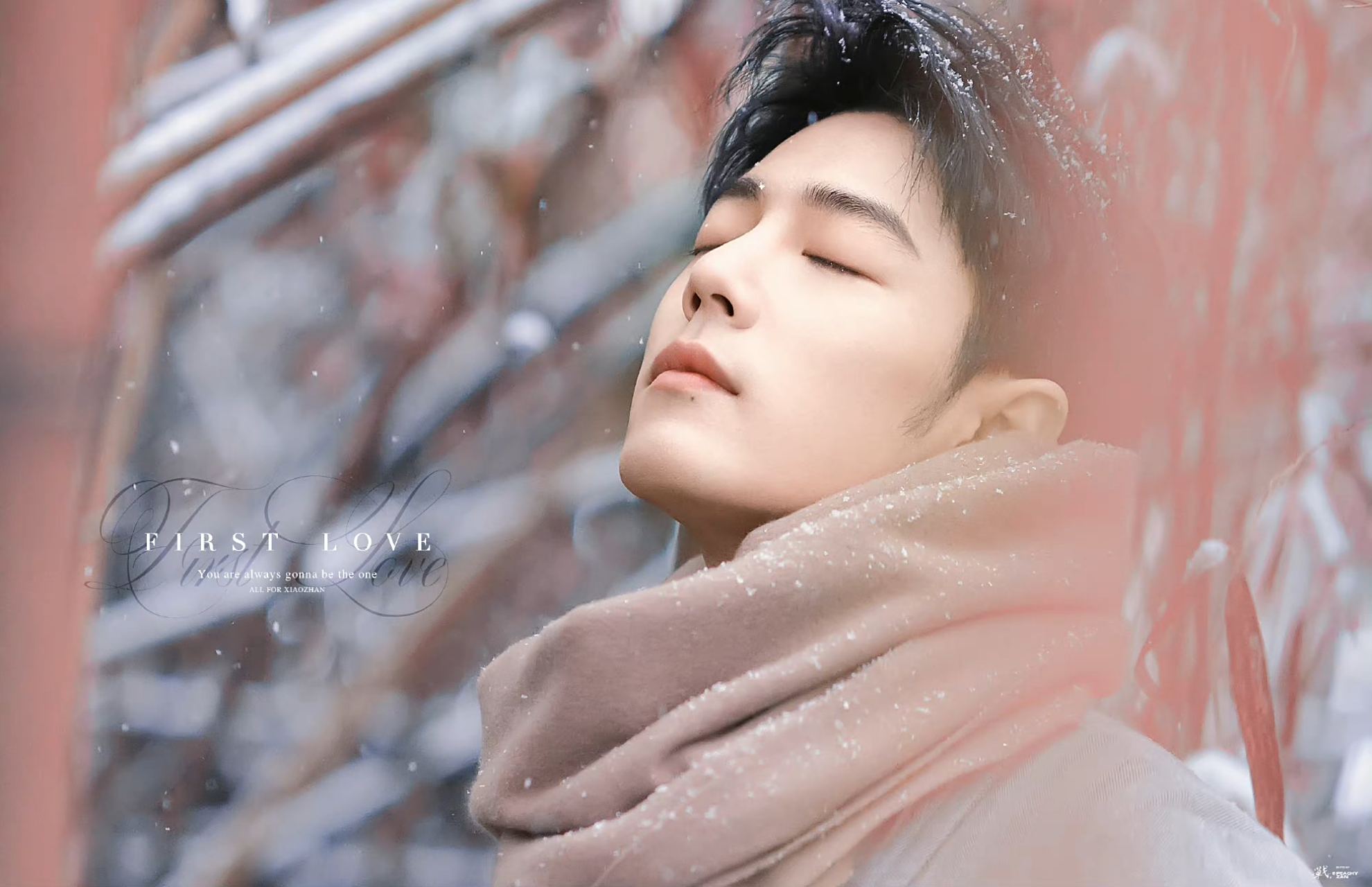 电脑壁纸更新 这个色系真是好看啊  #肖战#  cr:logo