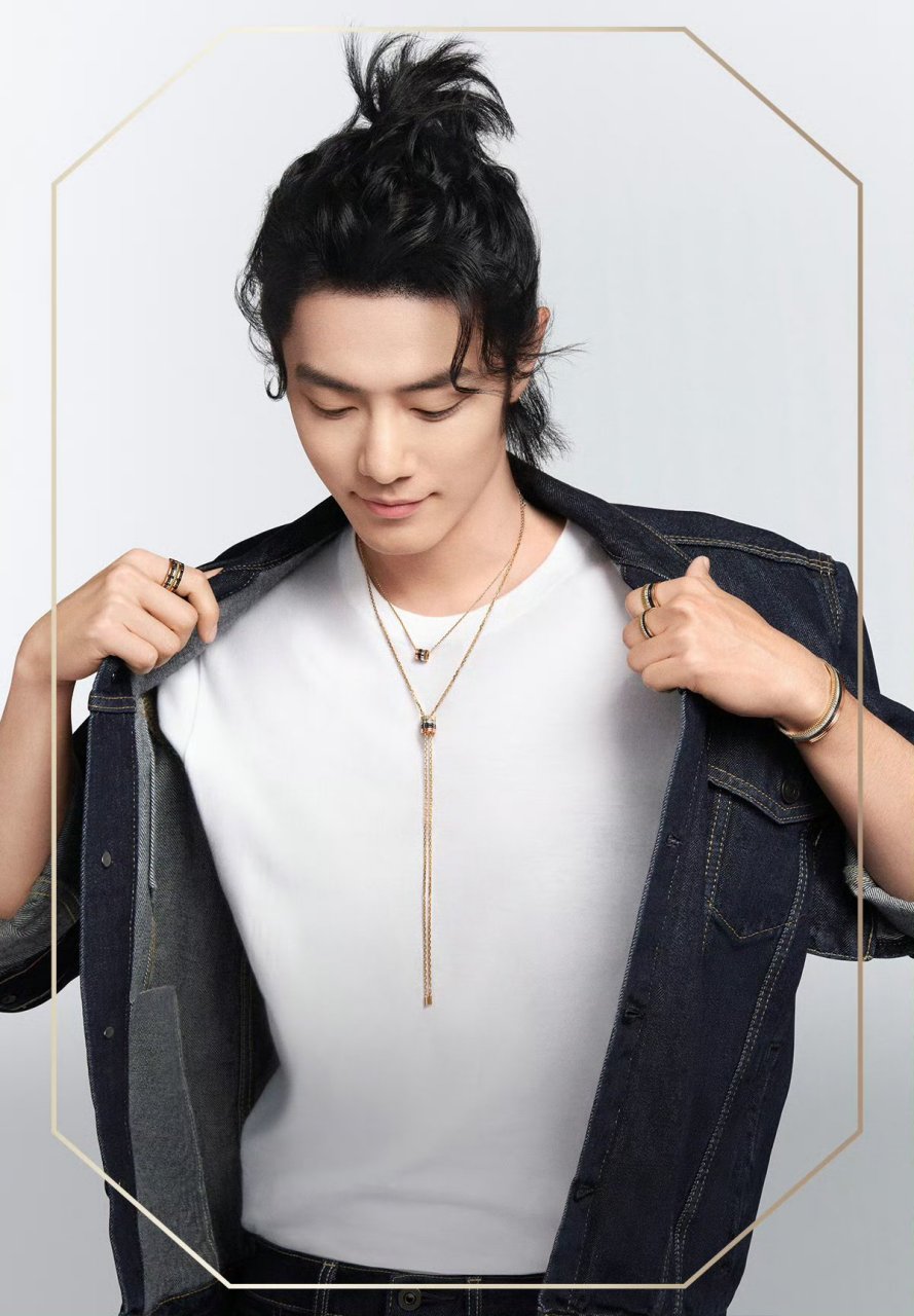 完美的顶奢代言人肖战  宝诗龙