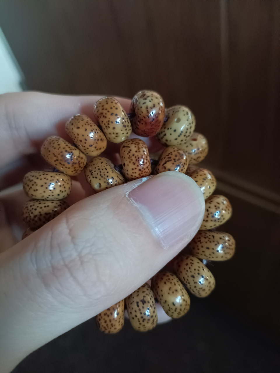 星月菩提素串可以出售哈哈盘了五年了