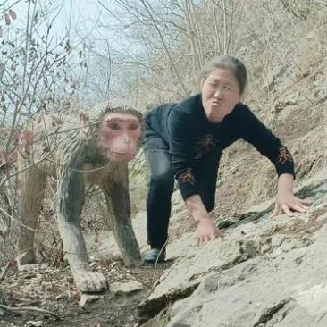 看这模仿猴子的样子模仿得太像了,姿势和表情都特别的像,逗得大家哈哈
