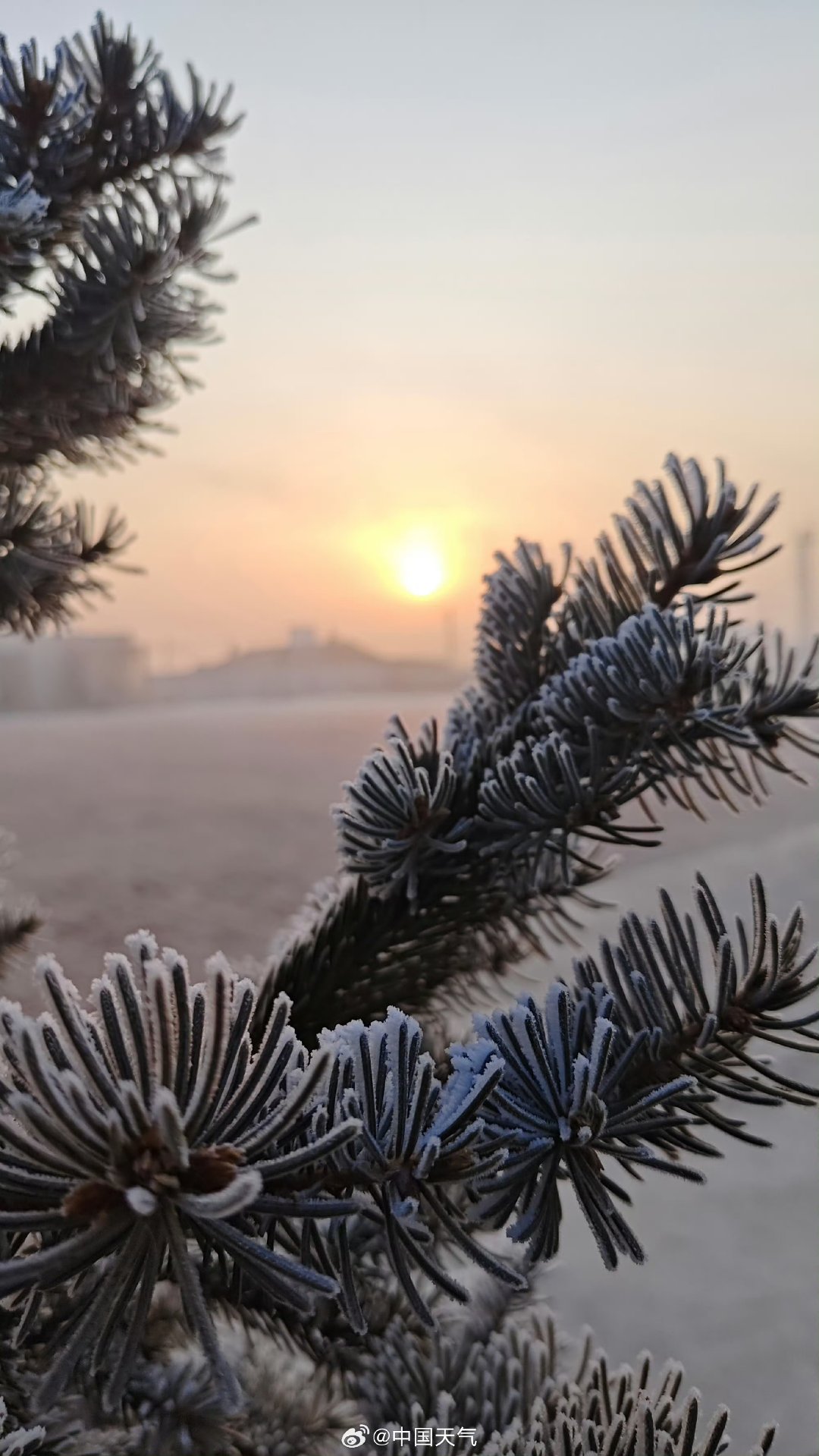 柳河县天气在线 柳河县天气在线