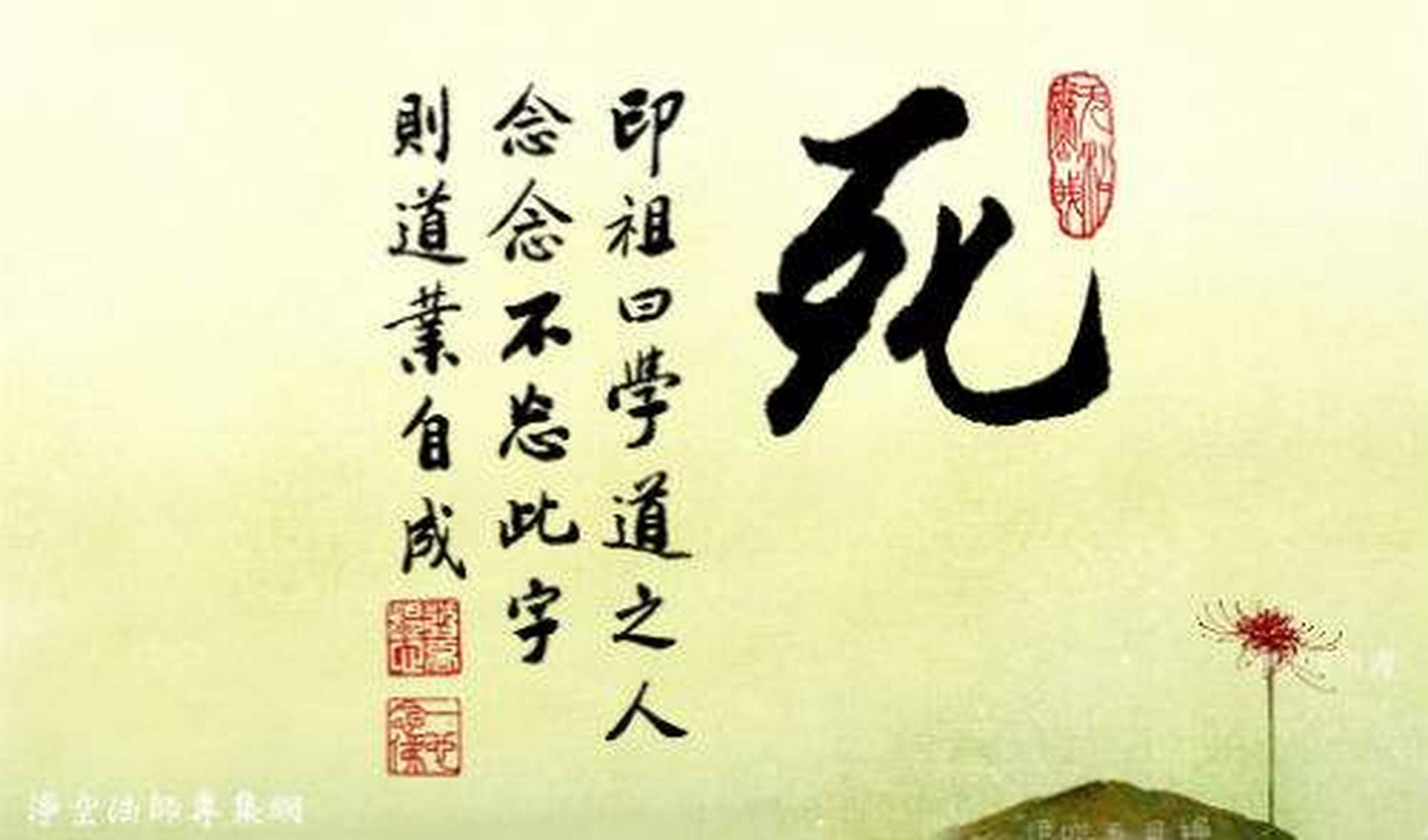 净空老法师:"是法无上深妙,广深如海".