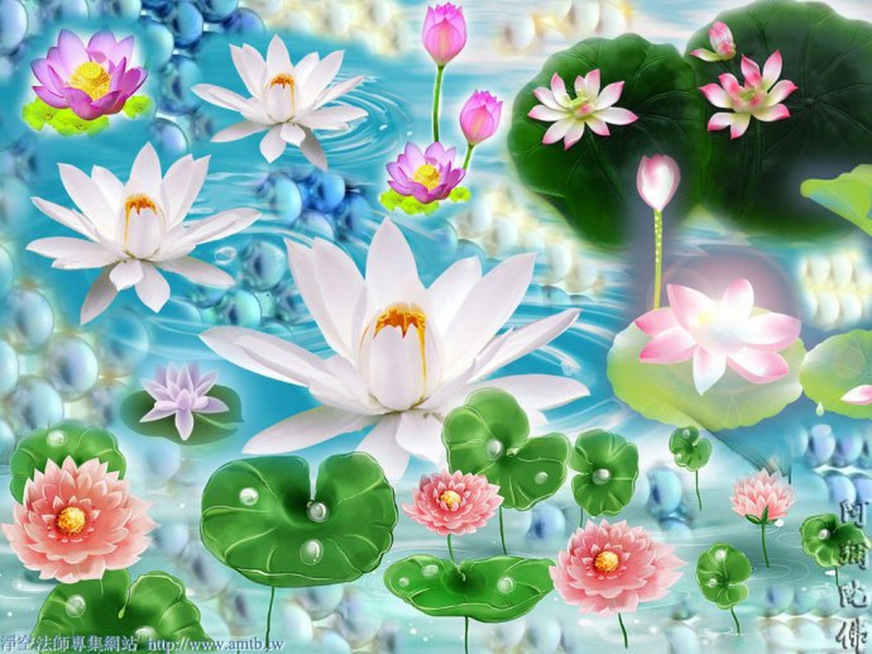 净空老法师:下面为我们介绍夏莲居老居士.