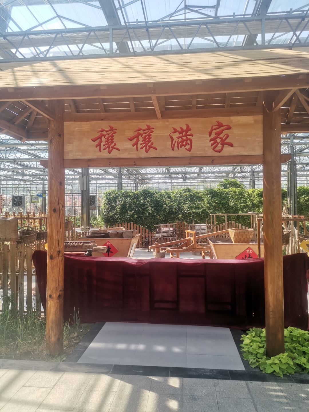 与好友一同享受这美好的时光,谈笑风生,悠然自得