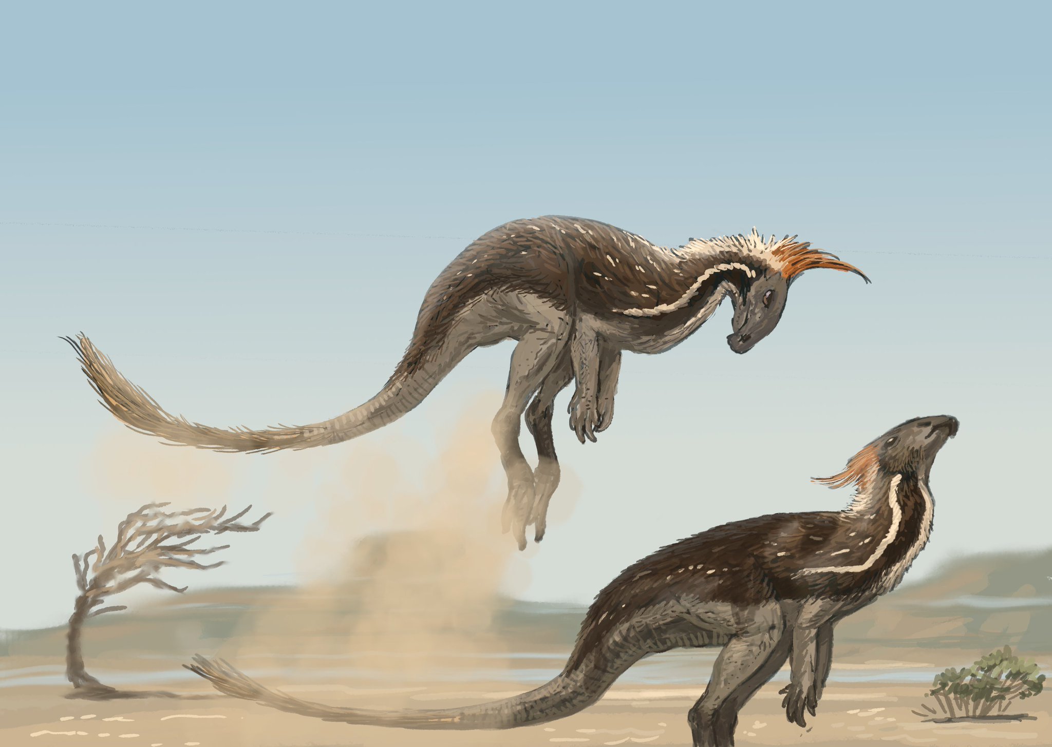 揭示薄板类颅后形态多样性的新物种