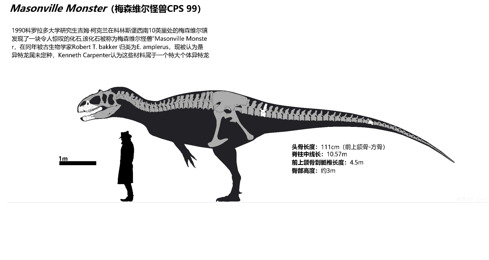 技能树的选择与优化