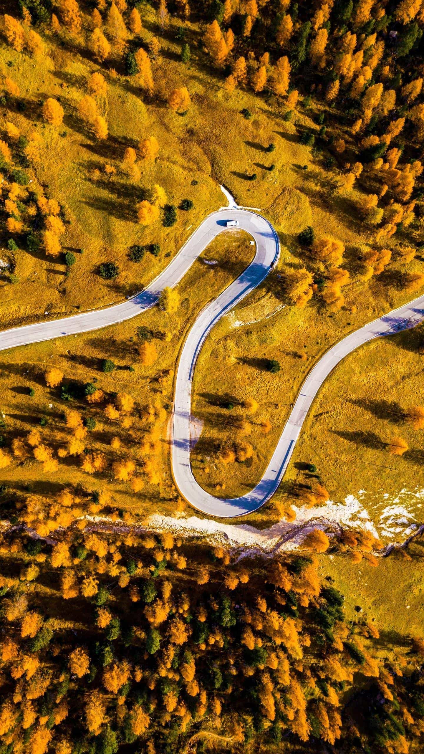 只是在不同的时间和地点偶尔相遇,结识一场然后又彼此赶路