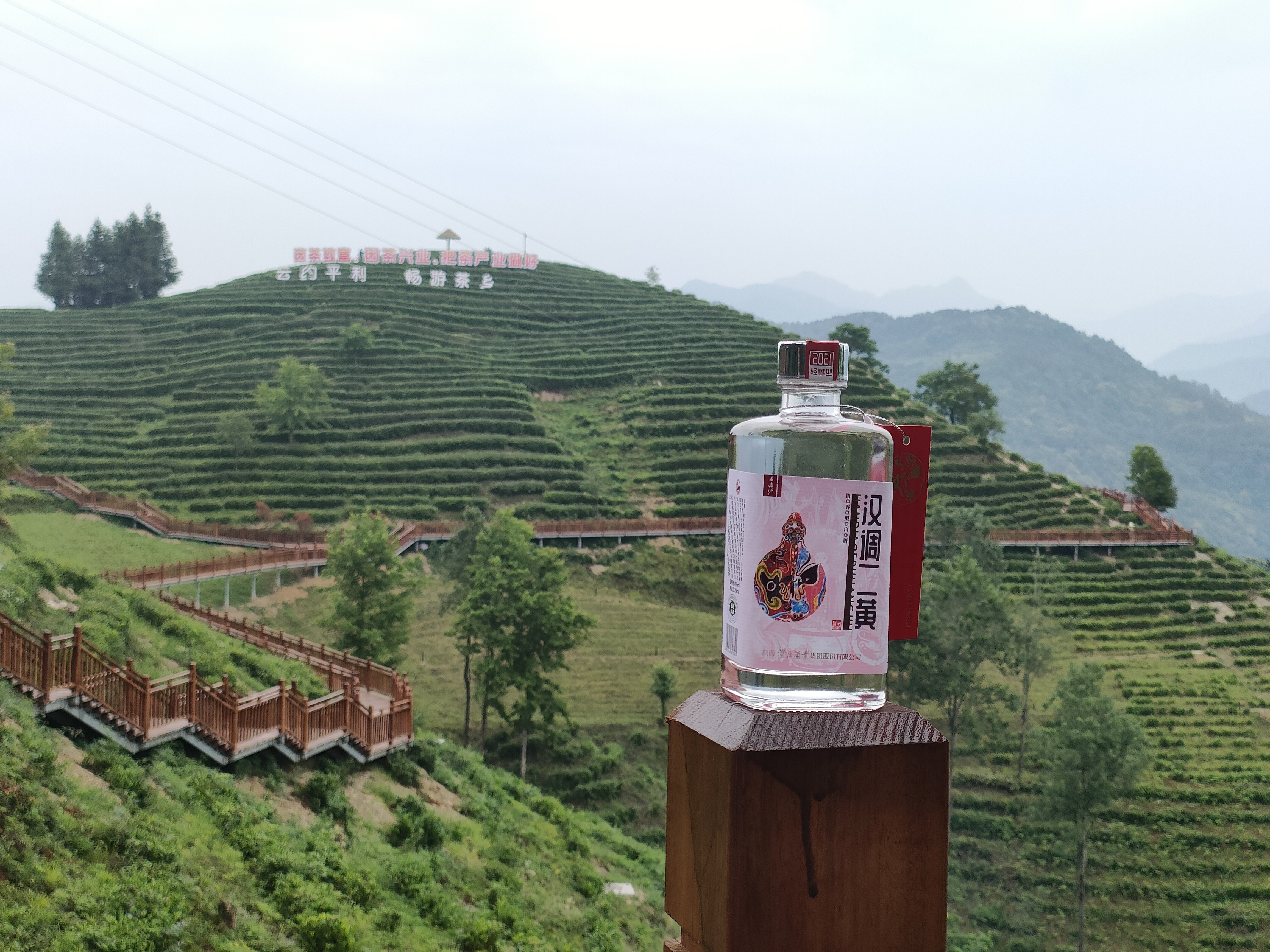 泸康吉祥安康酒图片