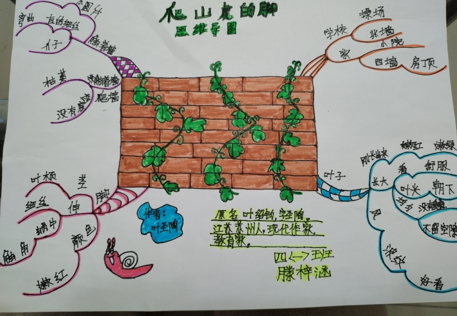 思维导图简单漂亮大方图片