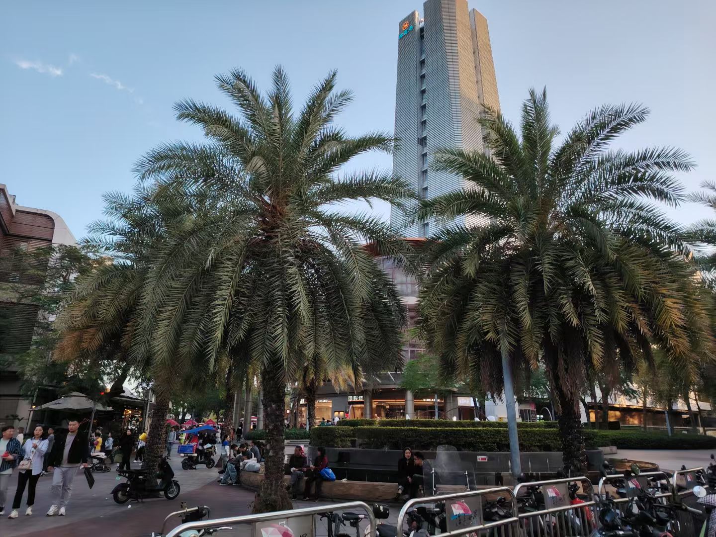 深圳蛇口的中心,我觉得就是这个海上世界国际酒吧街进来的海上世界