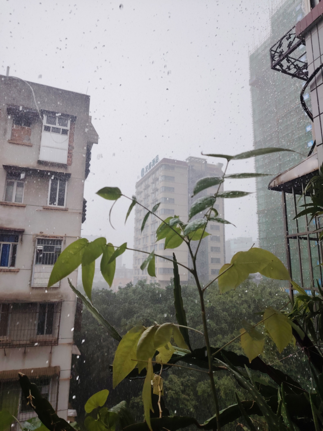 现在,南宁鲤湾路这边正下着暴雨,今天已经好几场雨了,还听到了打雷声