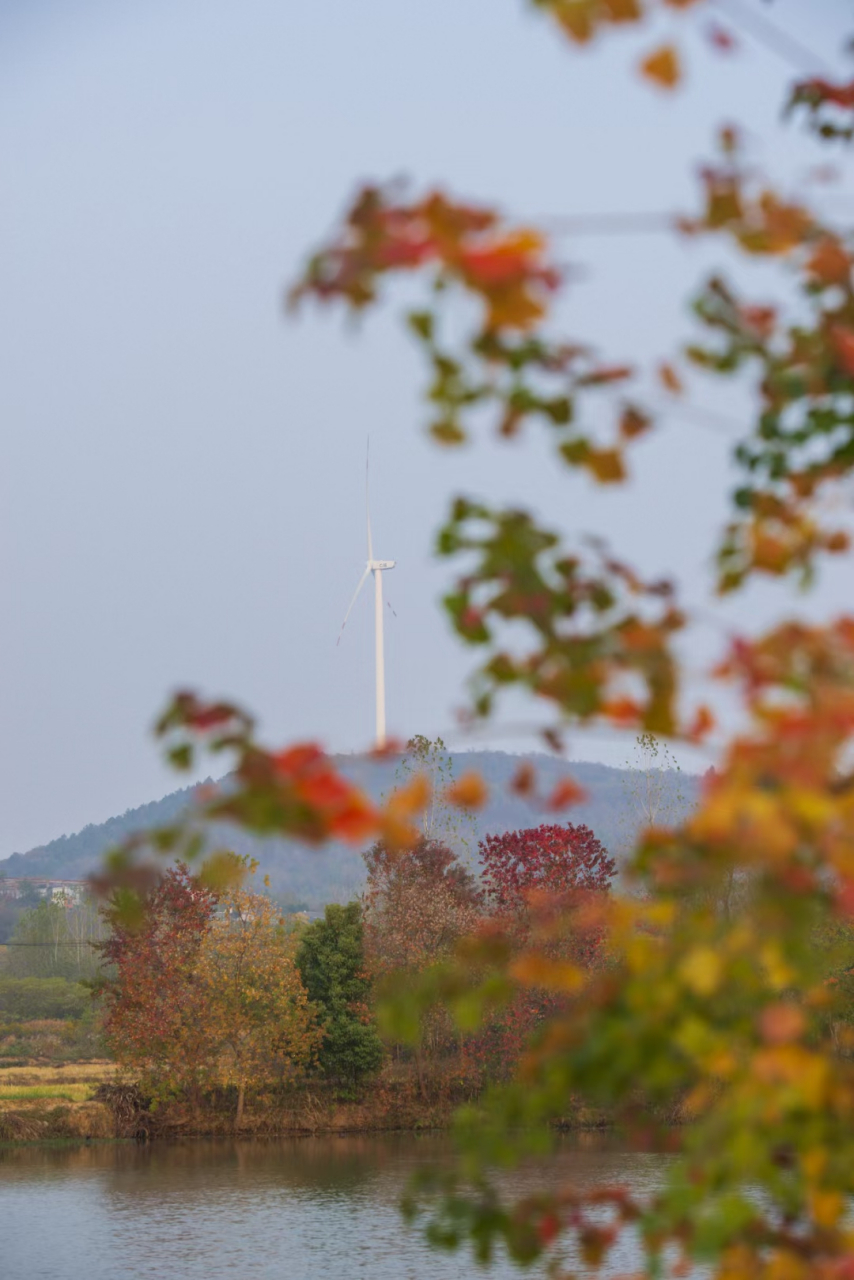 「芜湖巨师」王巨峰:职工因参加用人单位组织或指定参与的文体活动