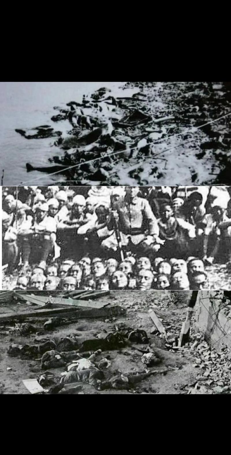 雄起不仅是加油的意思,一声雄起,四川人民在面对日本