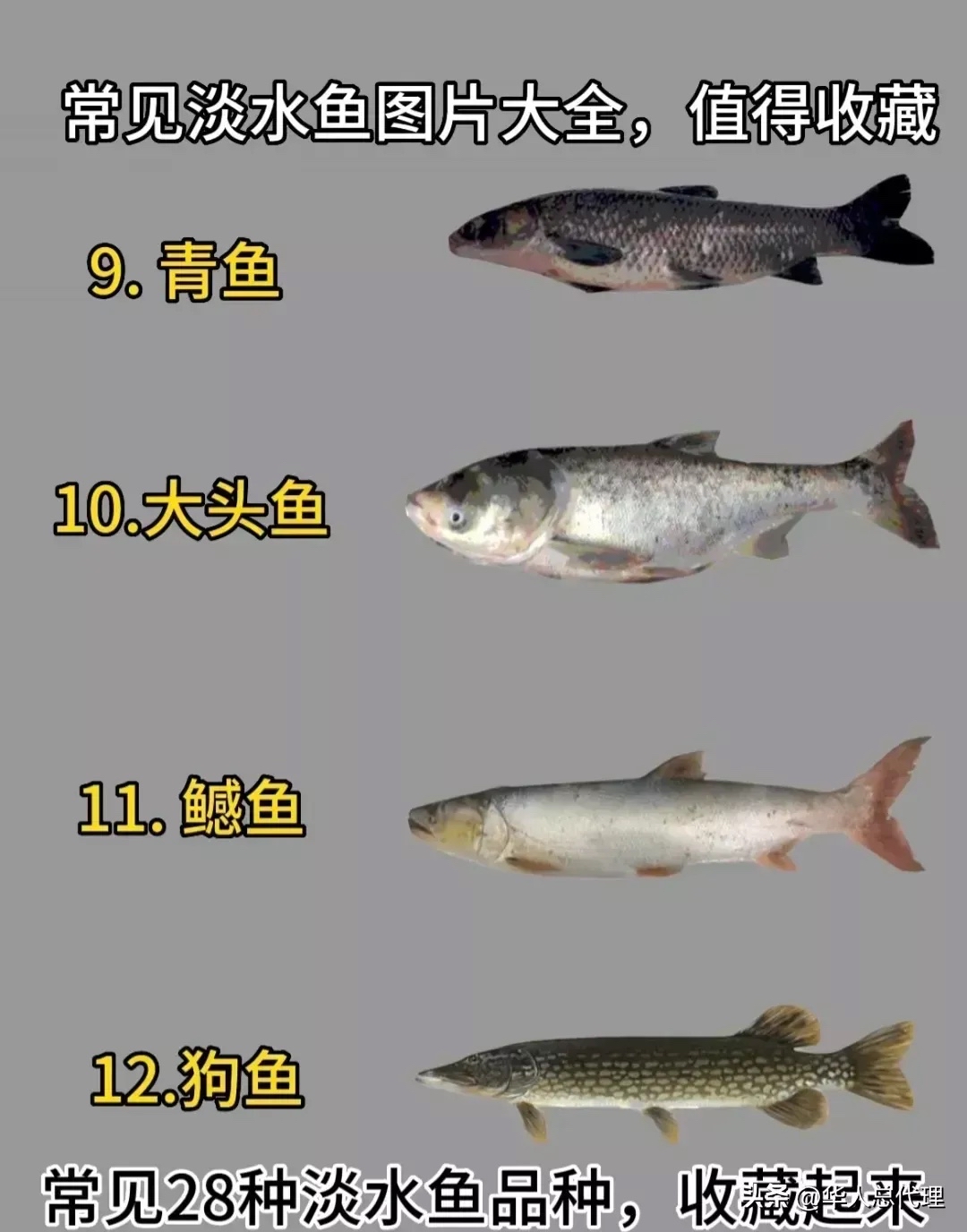 生活常识