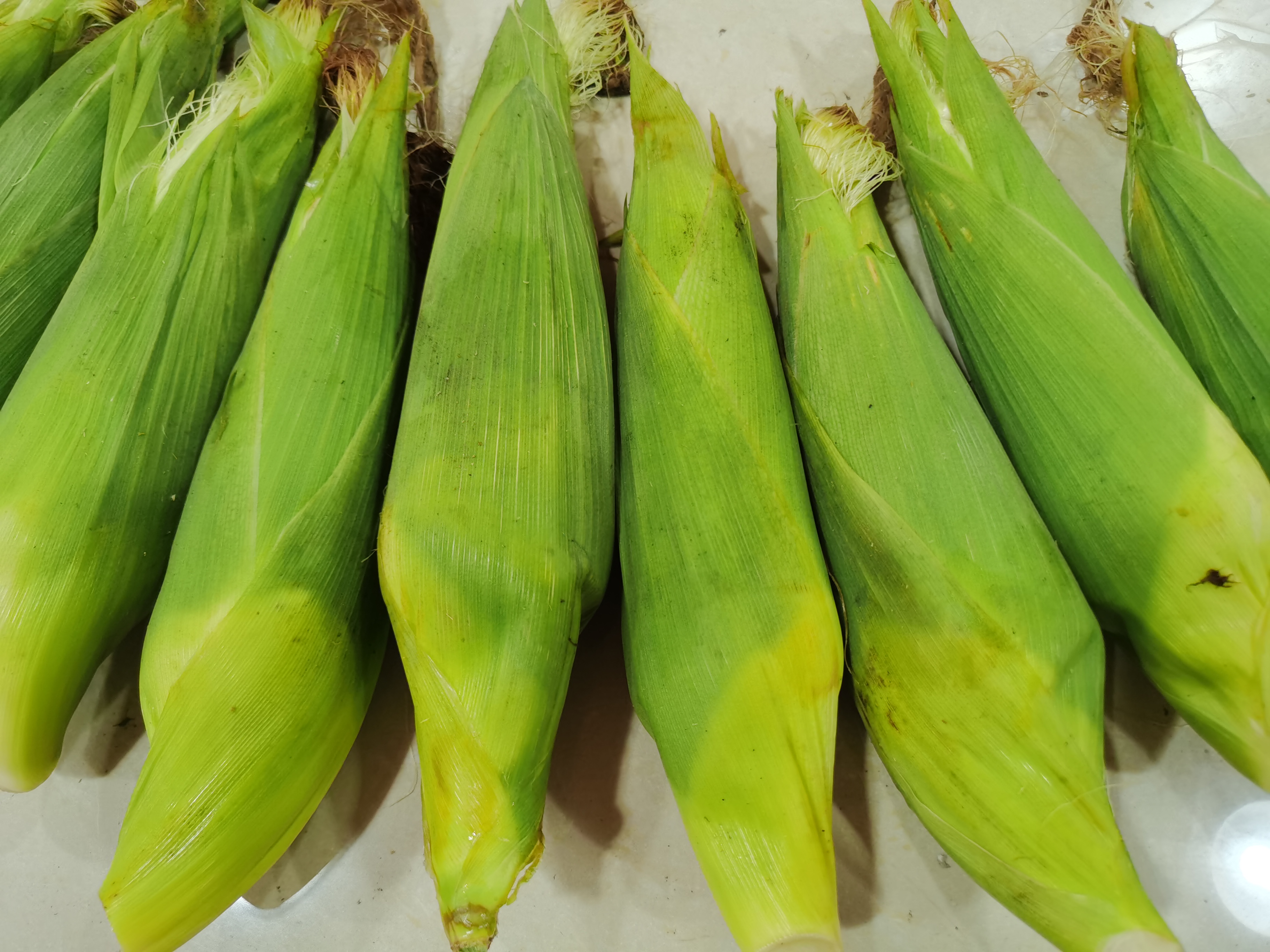 新鲜的玉米棒子来啦!