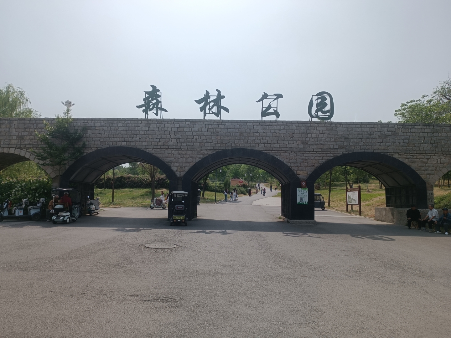 到家附近的森林公园去走走