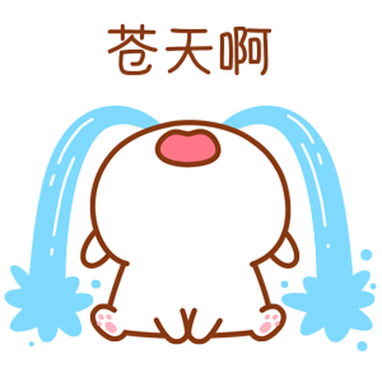 分享图片