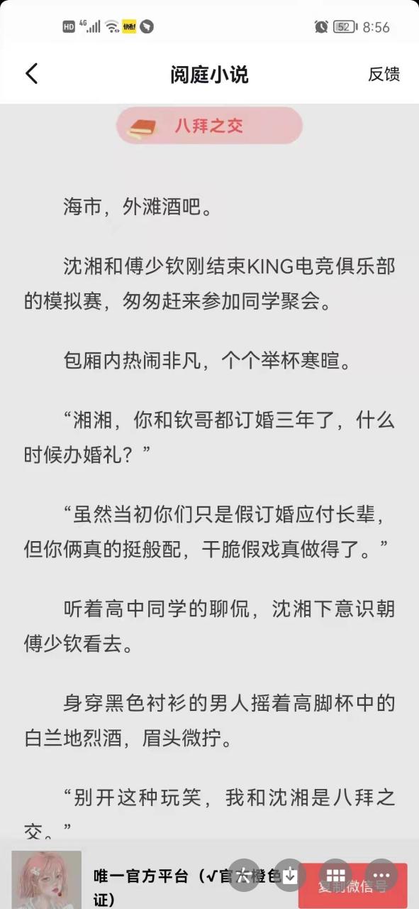 抖音完整版《沈湘傅少钦电竞》又名《沈湘傅少钦/再次相见是对手》