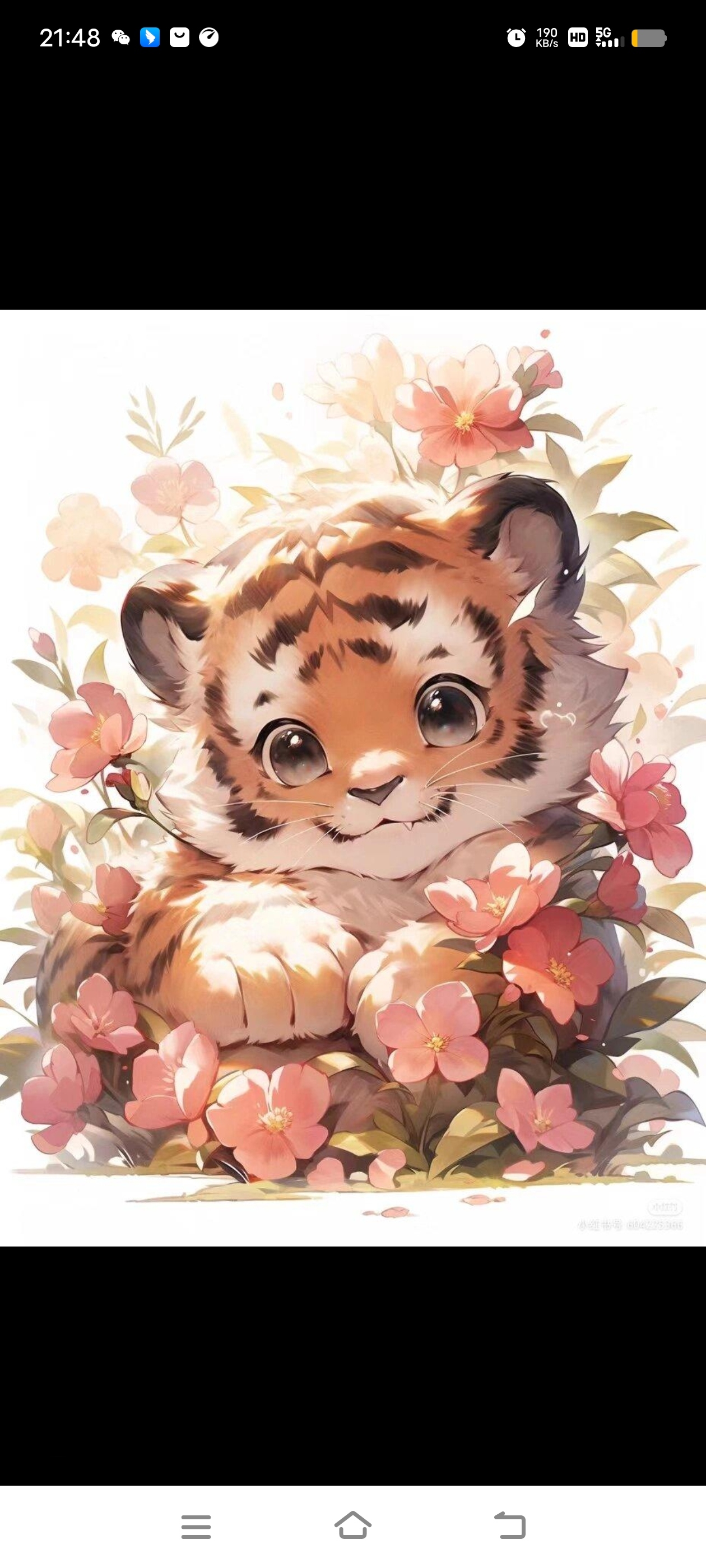 可爱的小老虎来了!