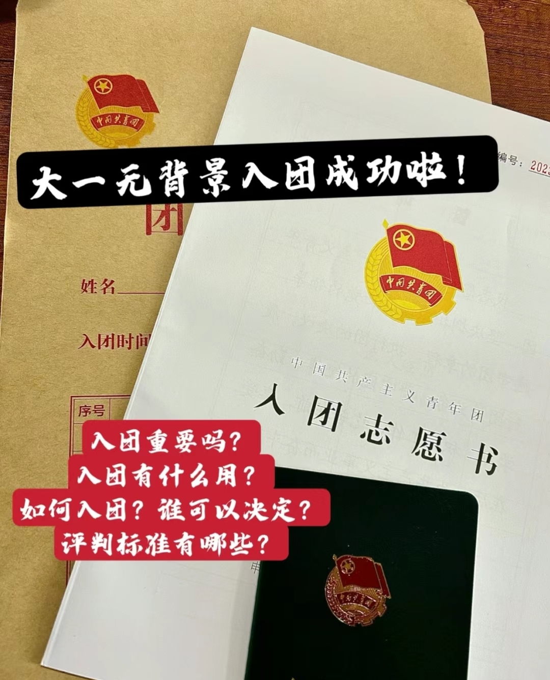大学生想入团要怎么学入团申请书