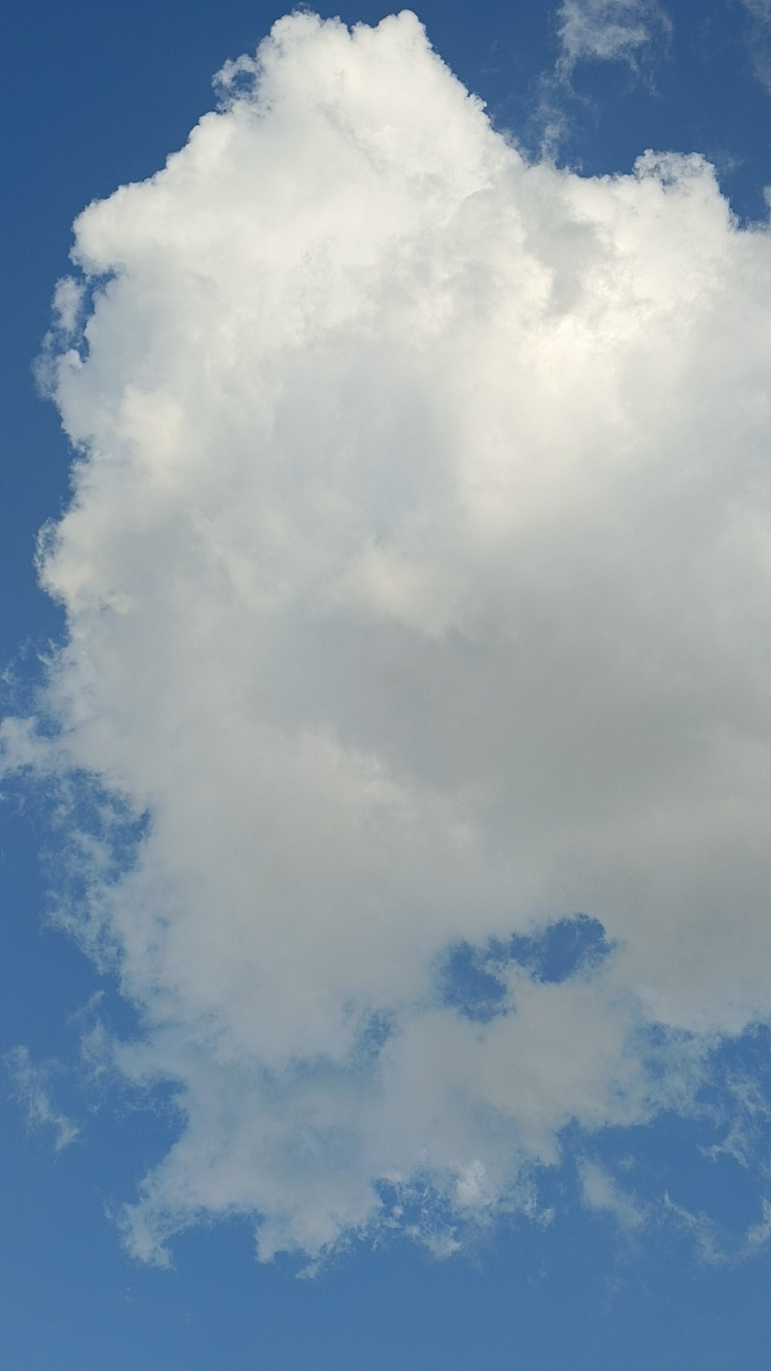 一团棉花似的白云?一团棉花似的的白云镶嵌在蔚蓝的天空?