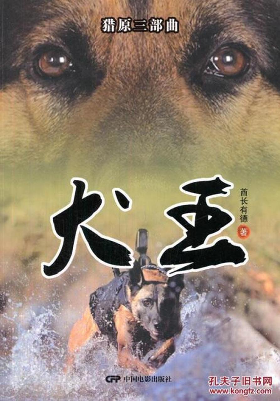1993年电影犬王 老奶奶说狗啊跟着好人办好事,跟着坏人办坏事