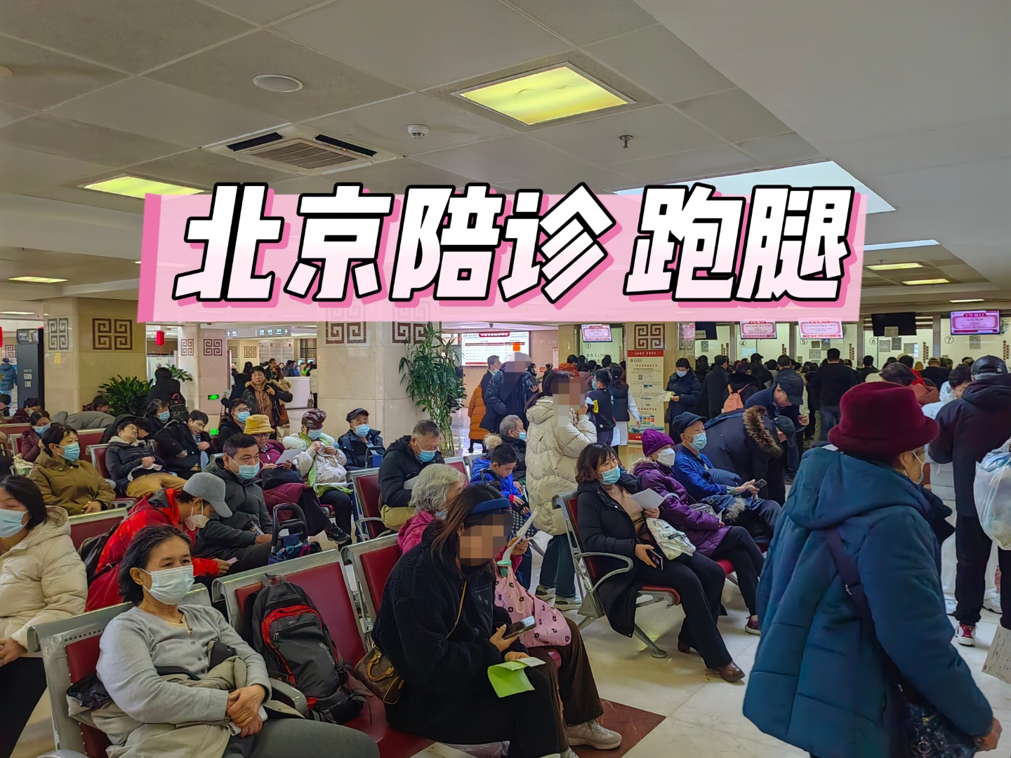 包含北京中國人民解放軍總醫院陪診跑腿電話，專業代辦掛號住院的詞條