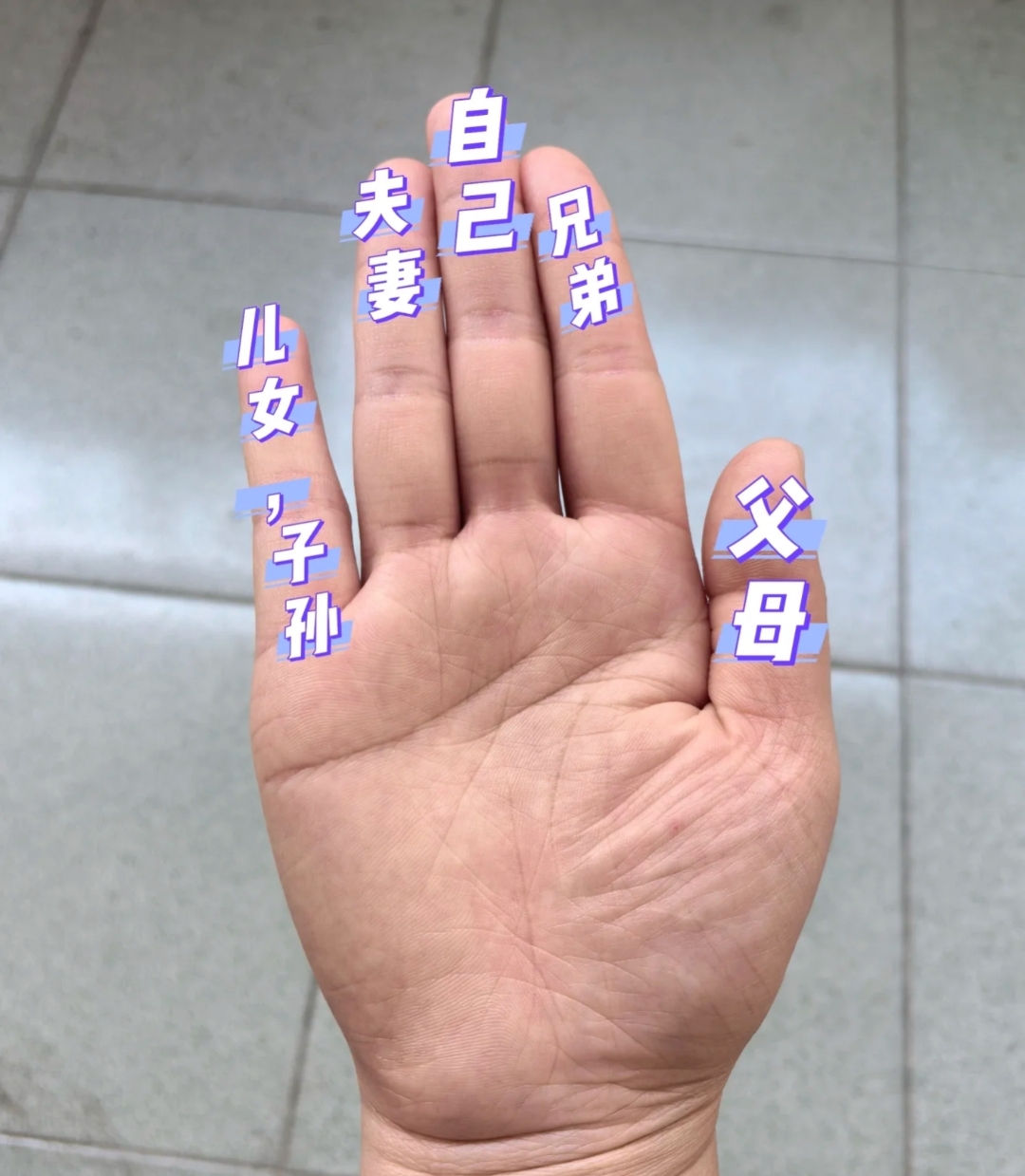 人为什么有五根手指而不是六根为什么在线 人为什么有五根手指而不是六根为什么在线