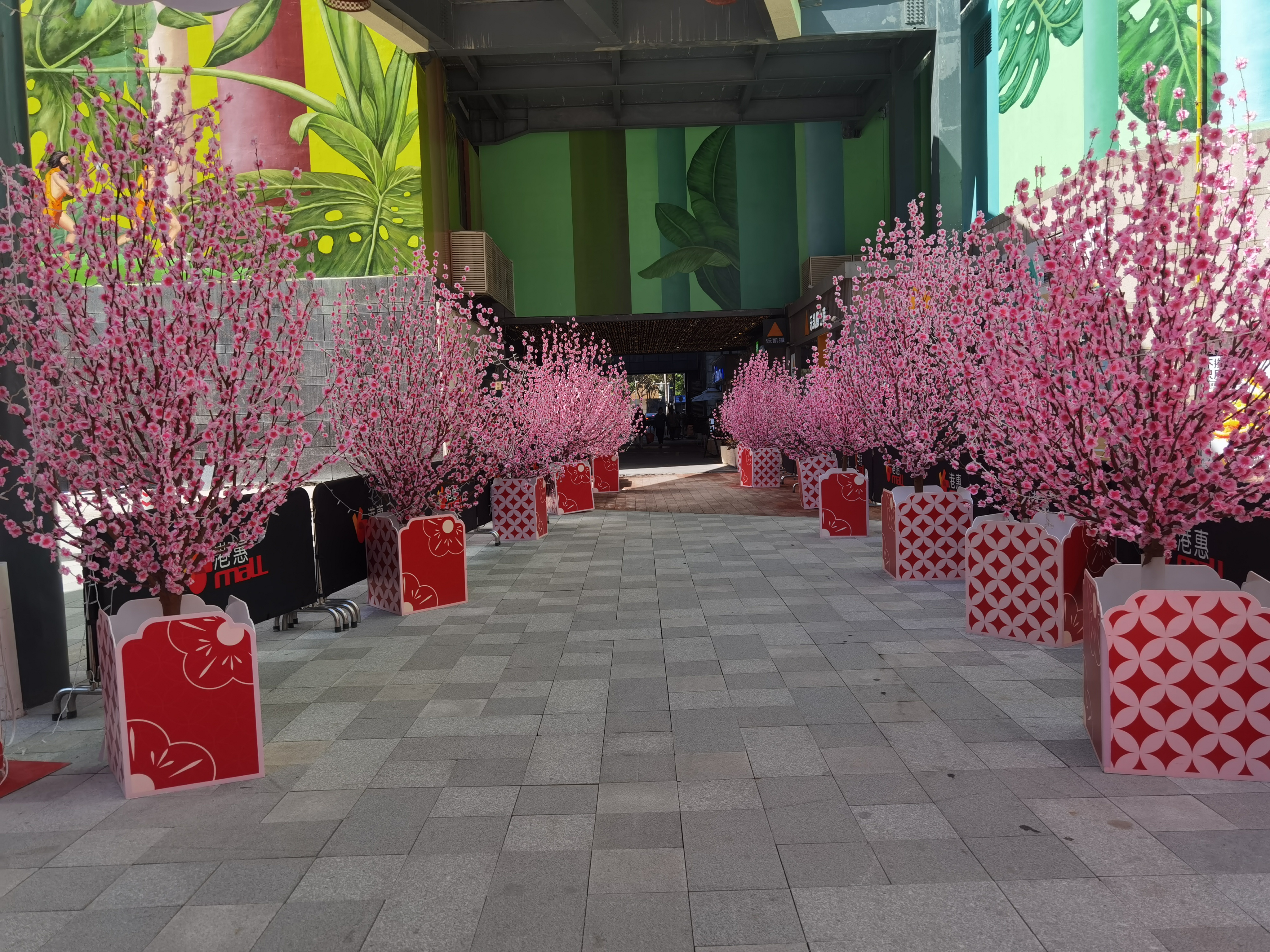 学会看到你的未来,你就是在人生坎坷的路上